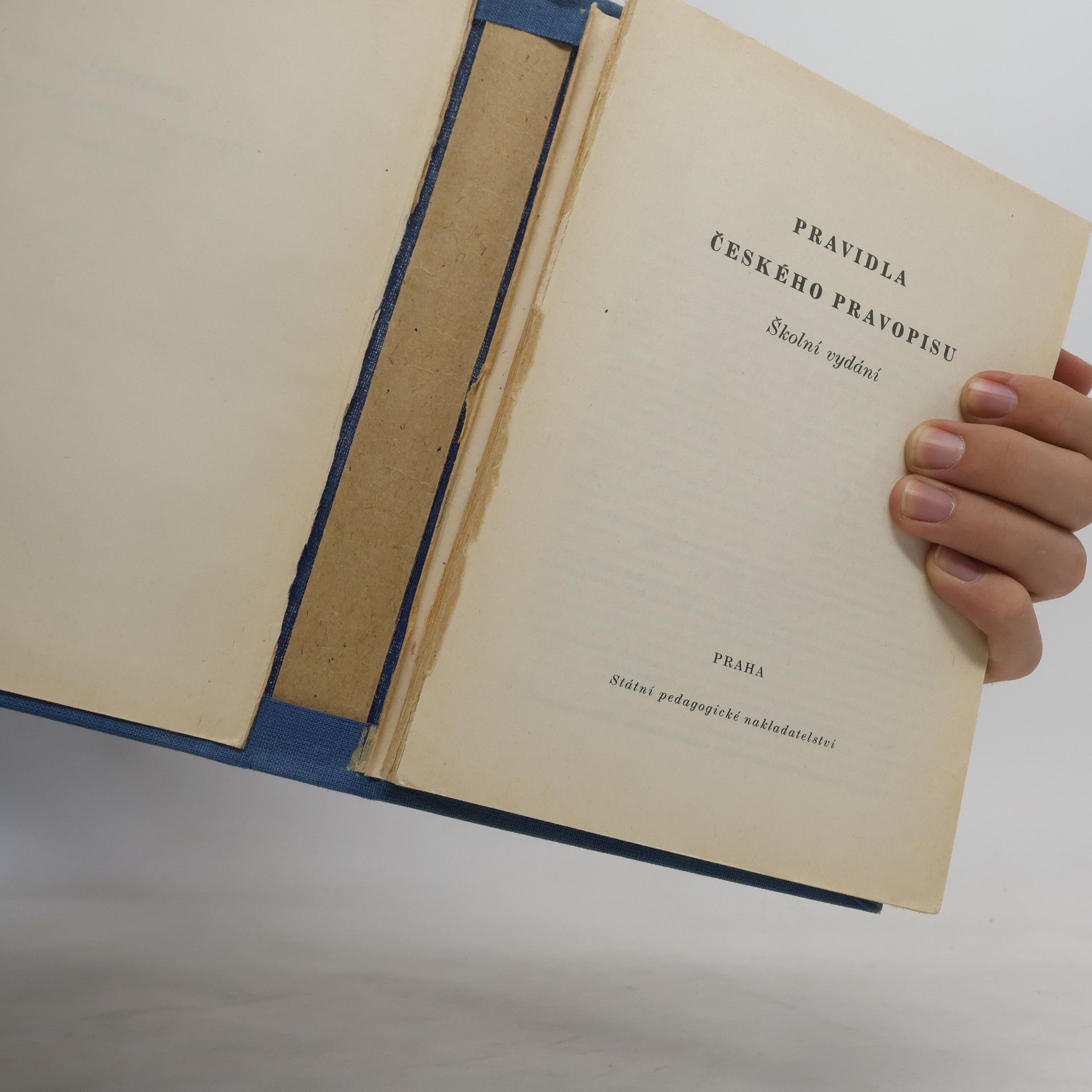 Collectif d'auteurs Pravidla českého pravopisu