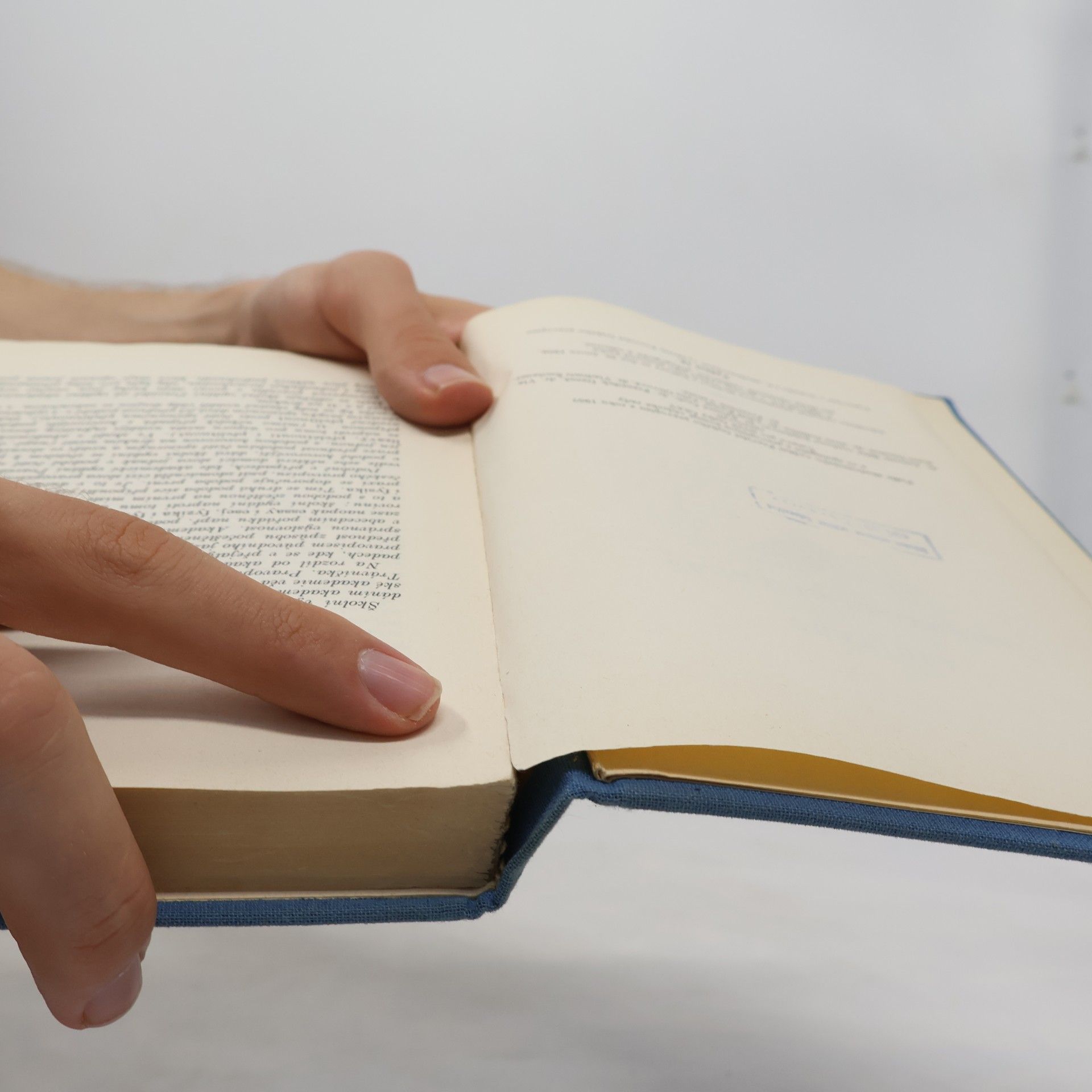 Collectif d'auteurs Pravidla českého pravopisu