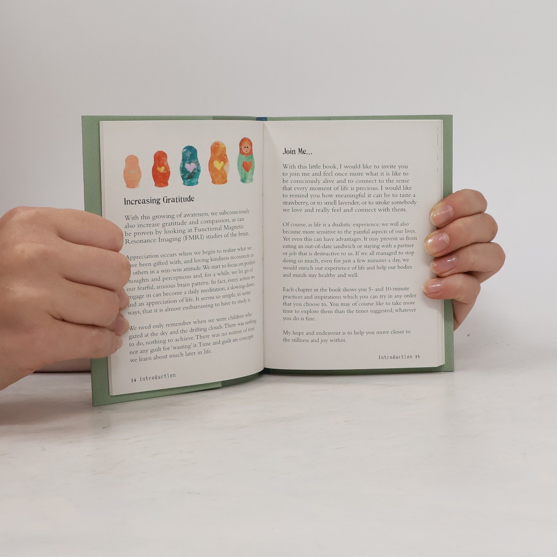 Patrizia Collard The little book of mindfulness