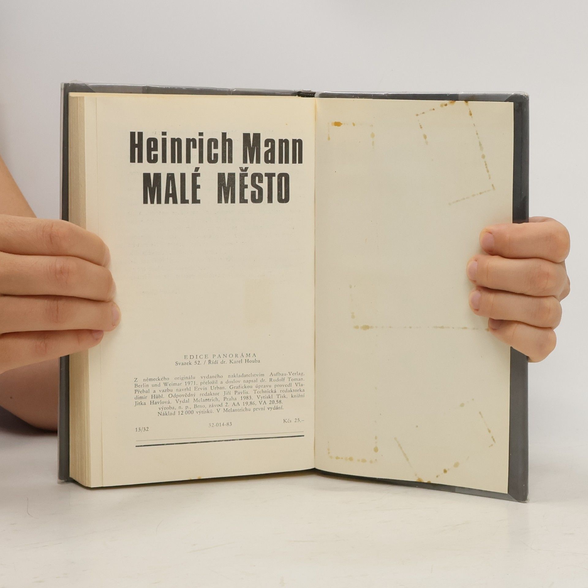 Heinrich Mann Malé město