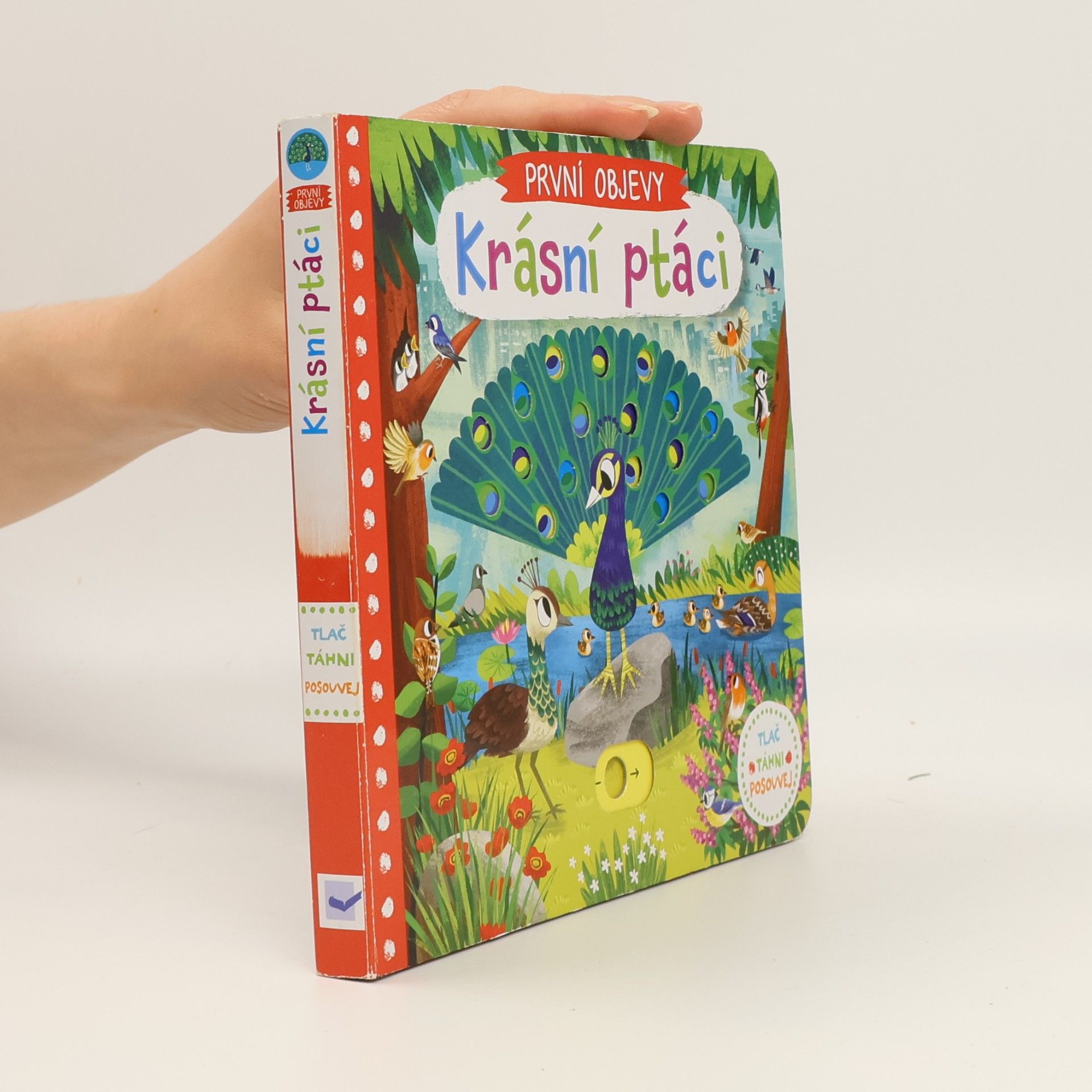 Chorkung První objevy: Krásní ptáci