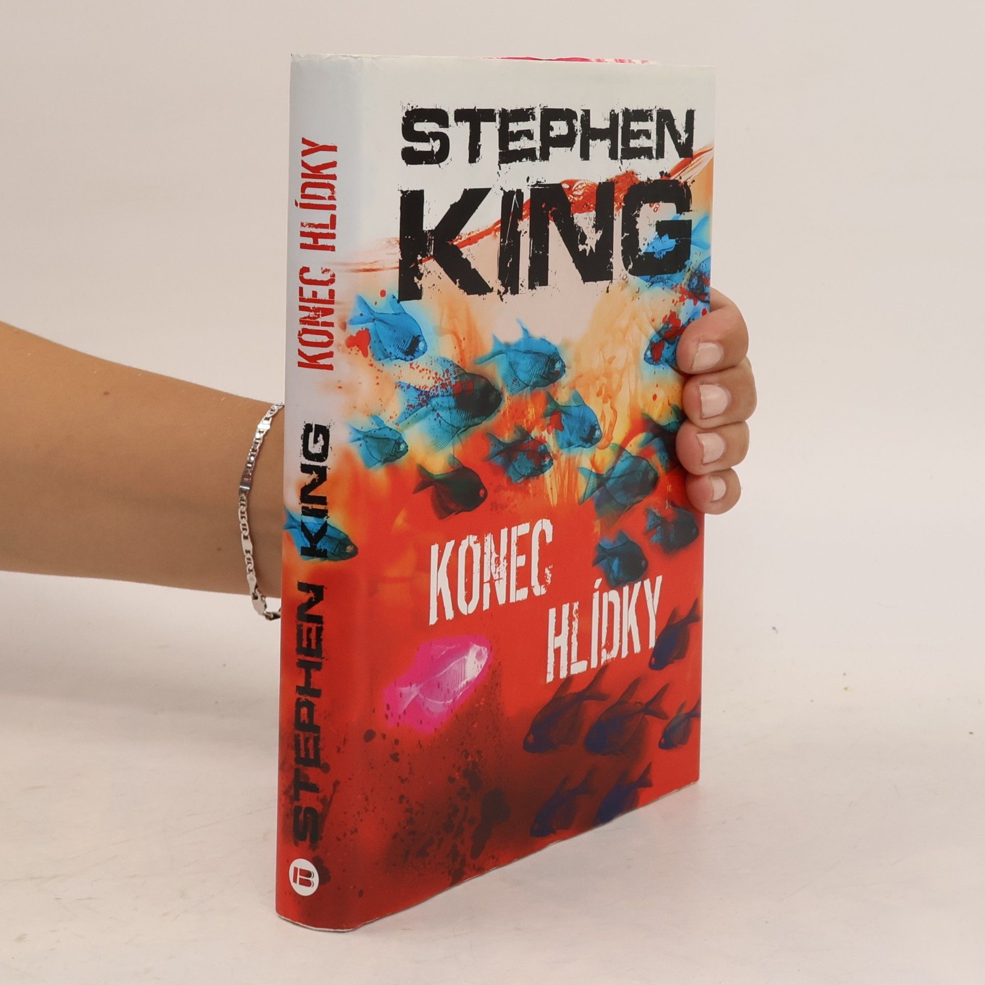 Stephen King Konec hlídky