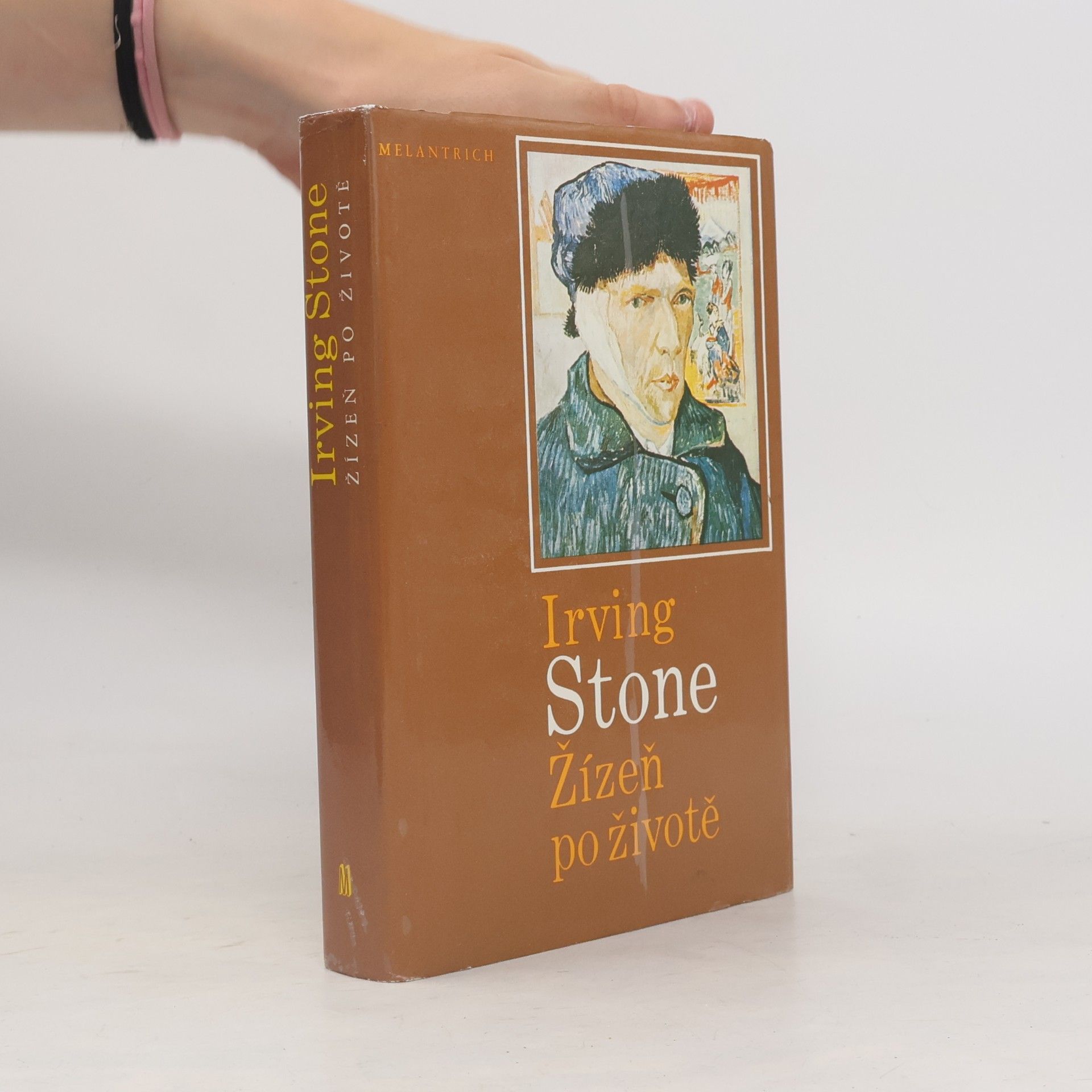 Irving Stone Žízeň po životě