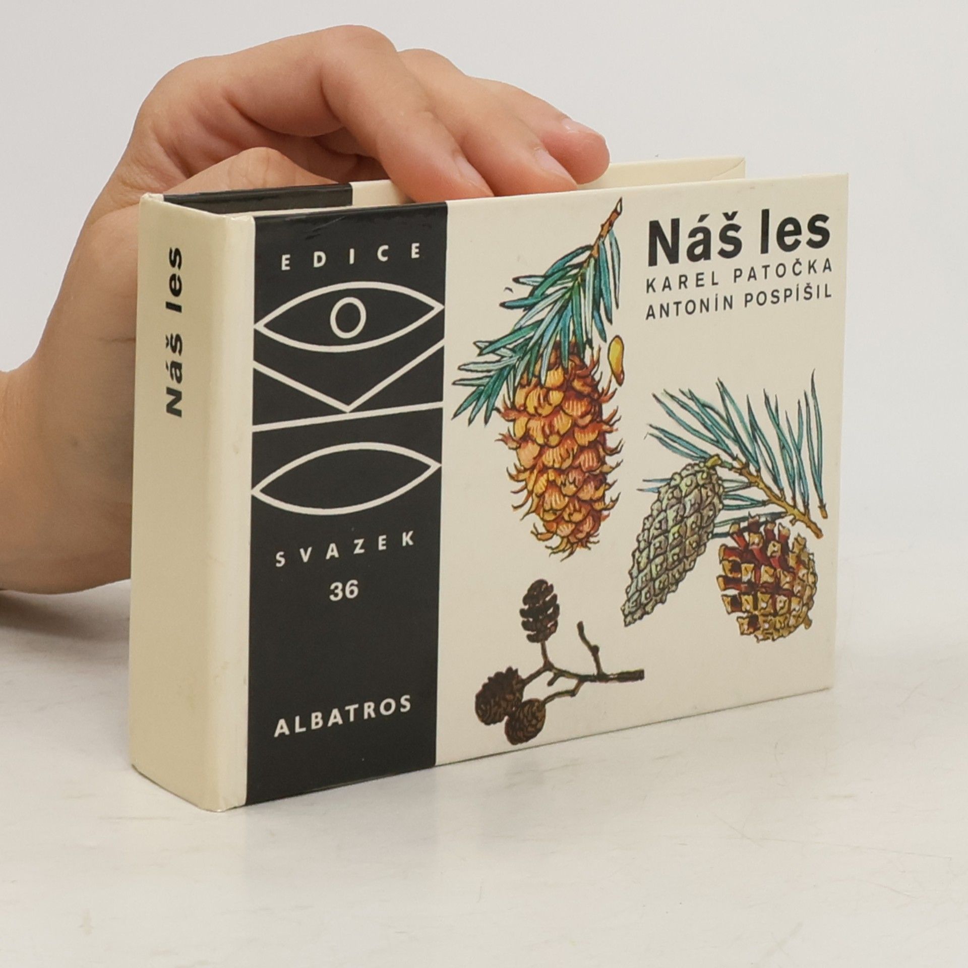 Náš les
