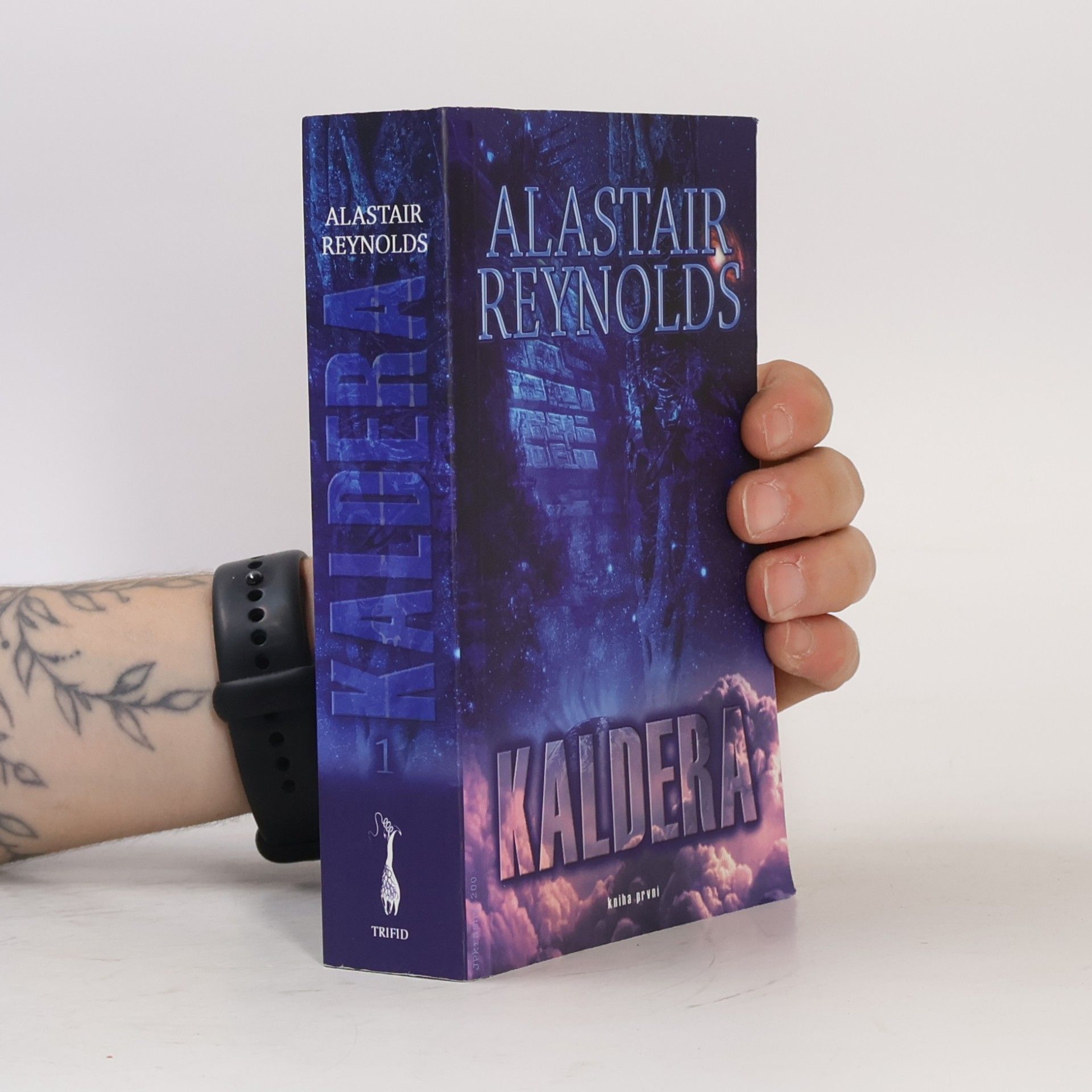Alastair Reynolds Kaldera. Kniha první