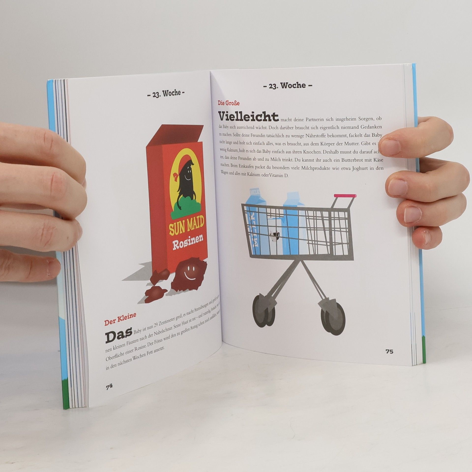 Gerard Janssen Schwangerschaftsbuch für Männer