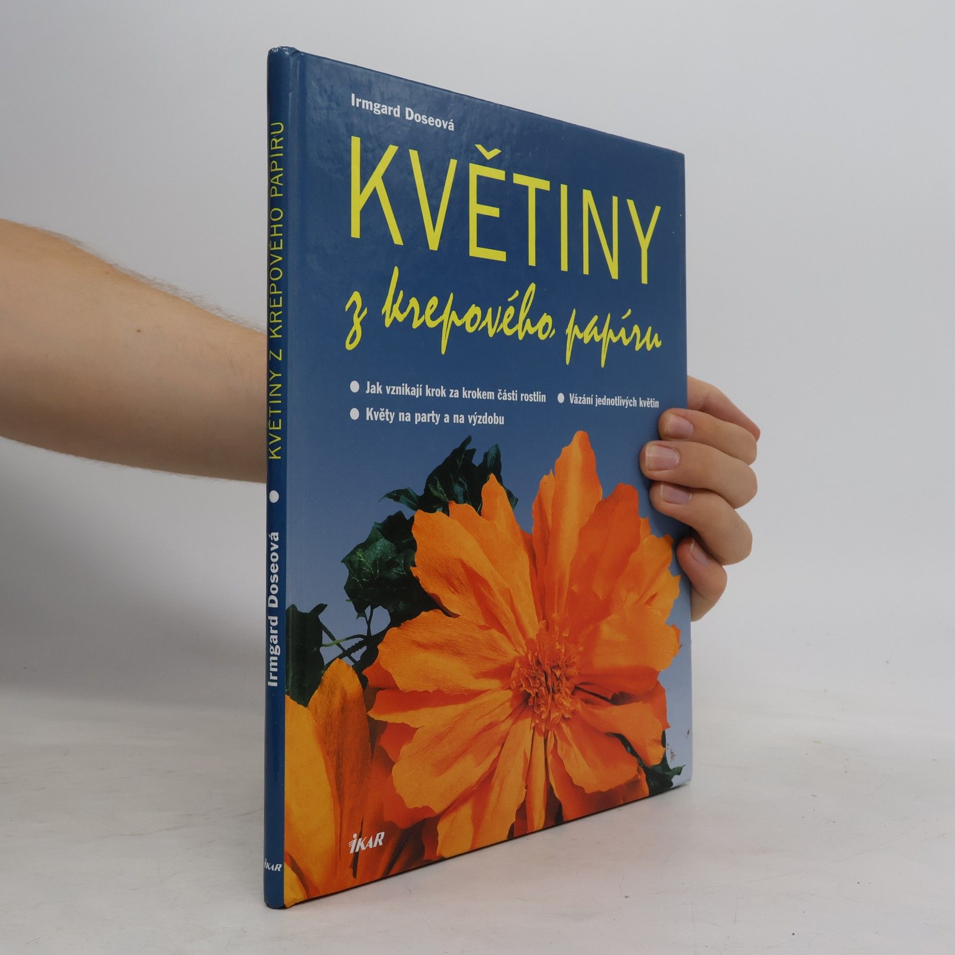 Irmgard Dose Květiny z krepového papíru