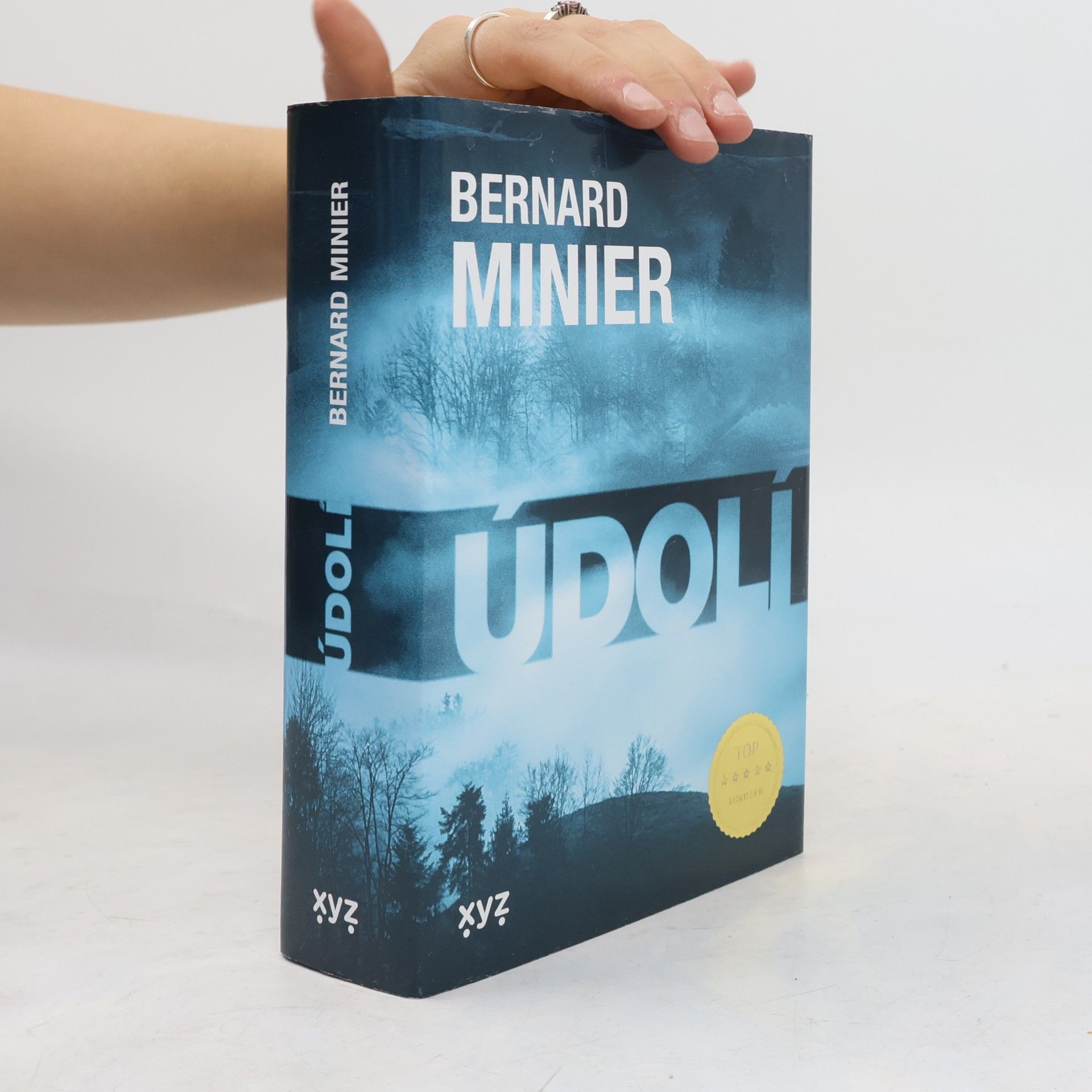 Bernard Minier Údolí
