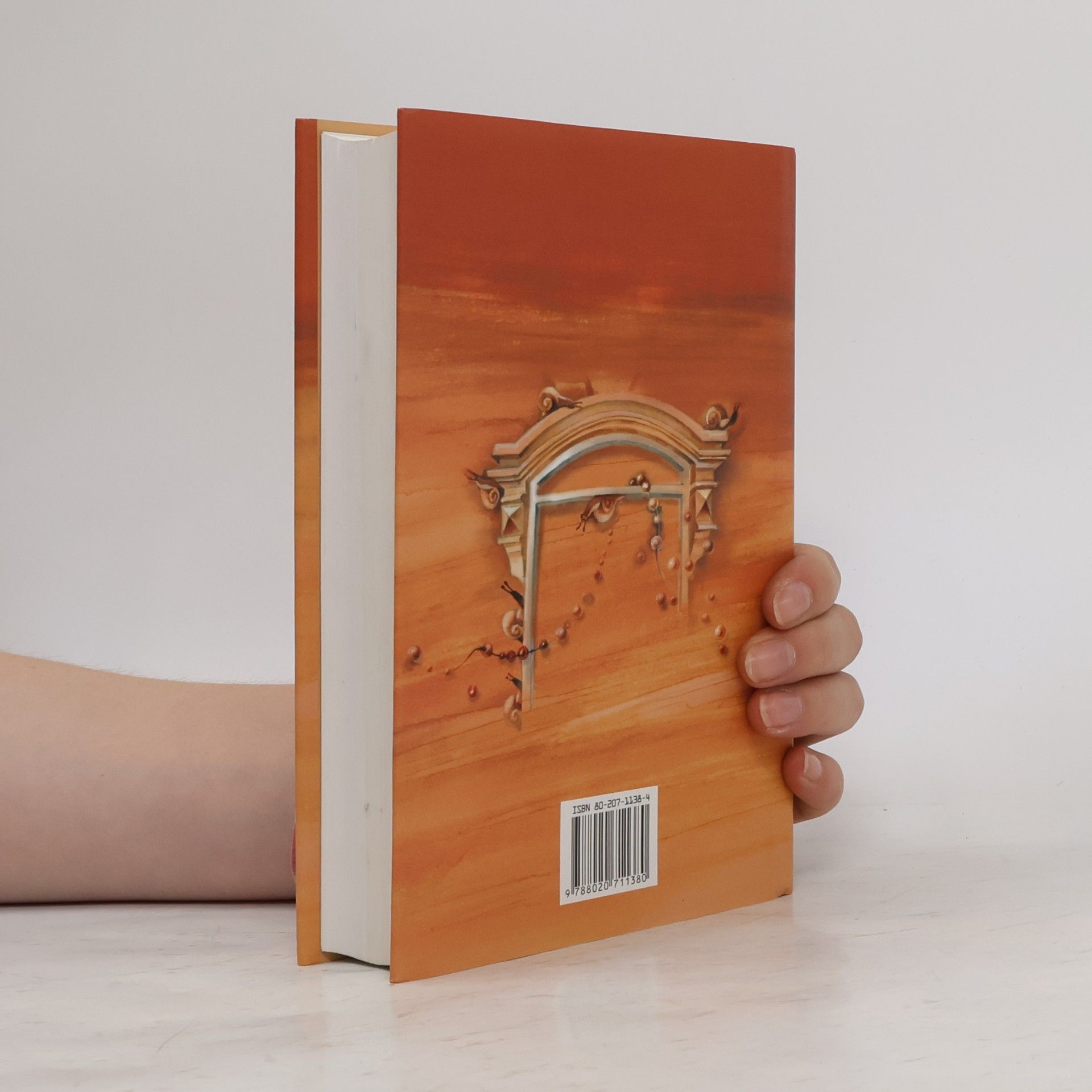 John Irving Rok vdovou