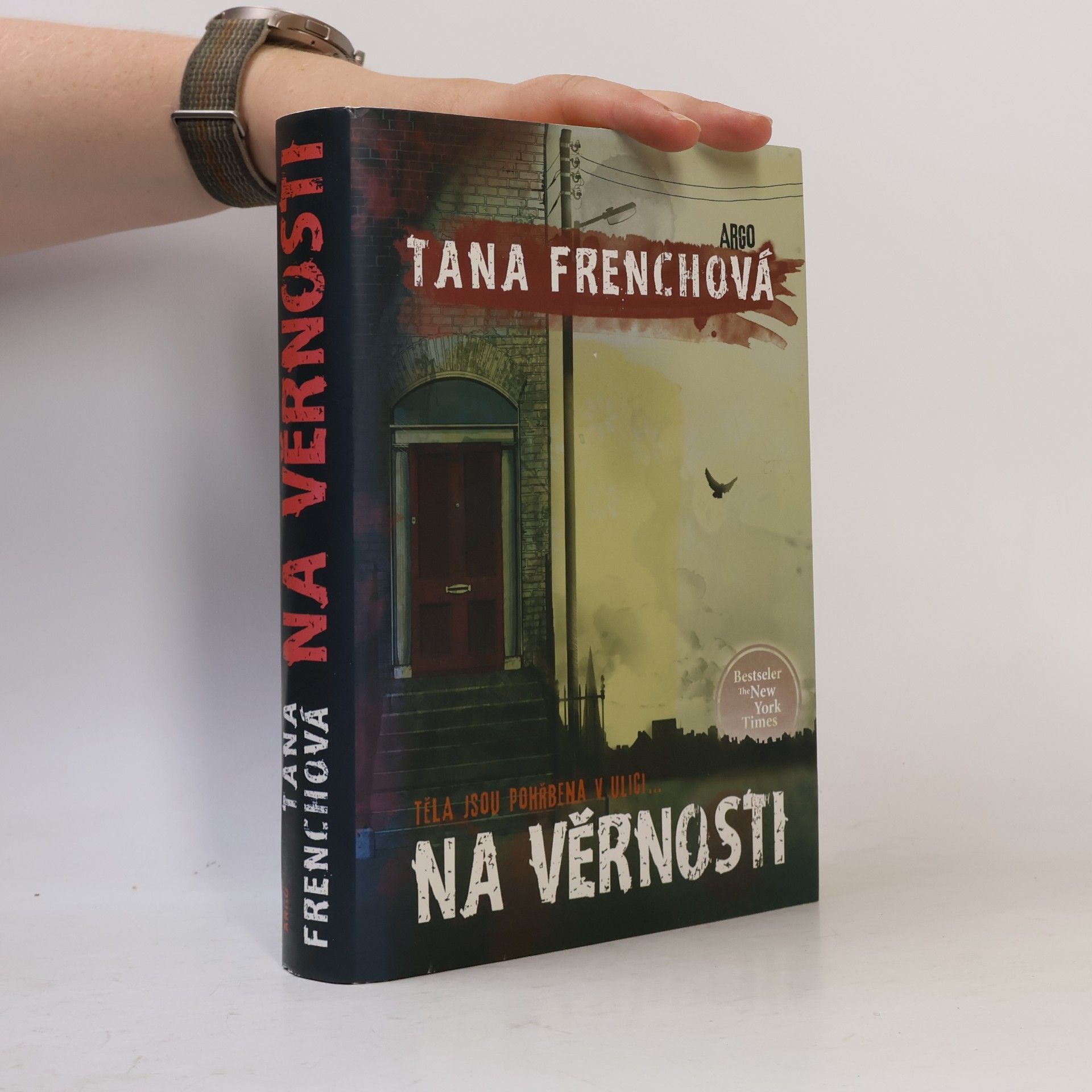 Tana French Na Věrnosti