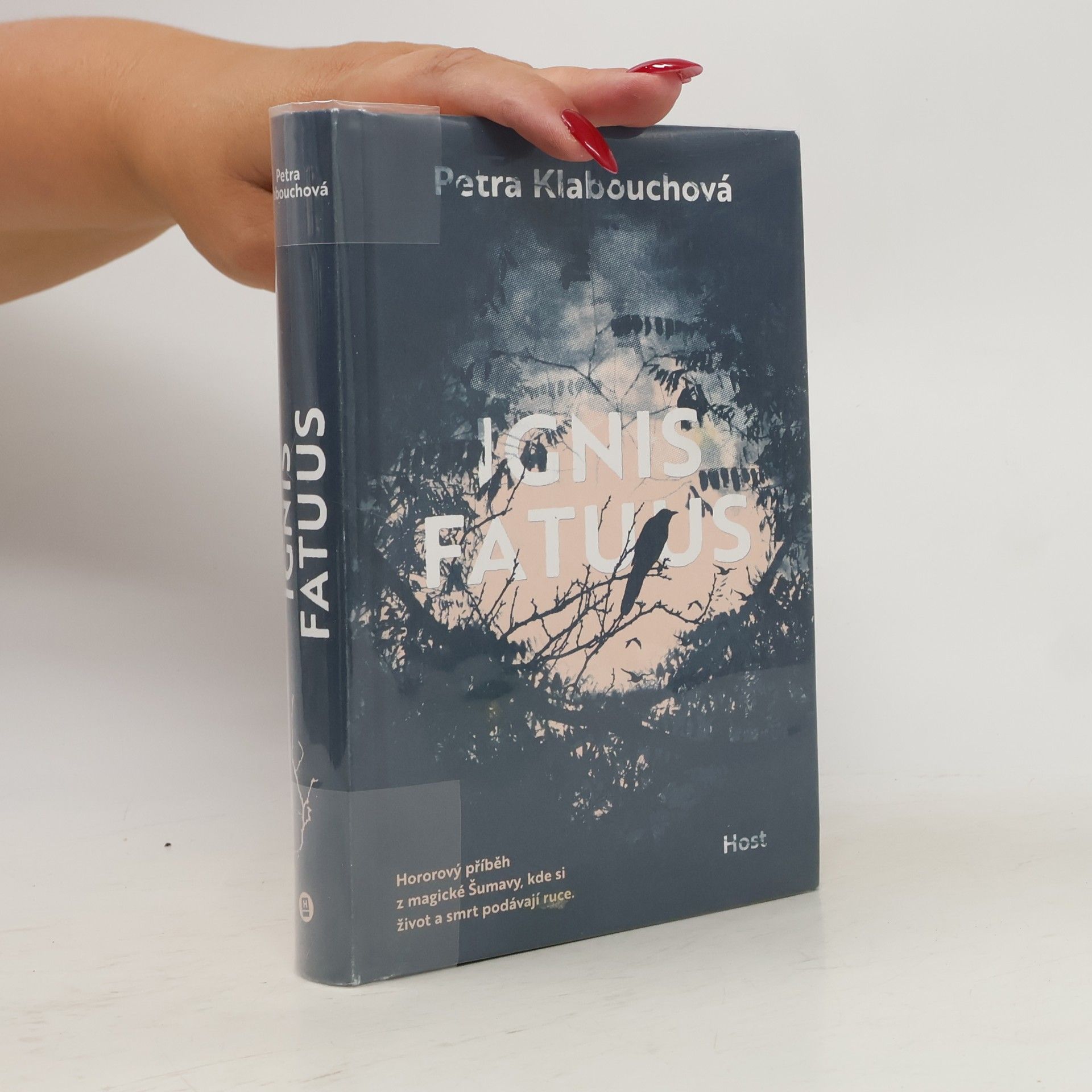 Petra Klabouchová Ignis Fatuus