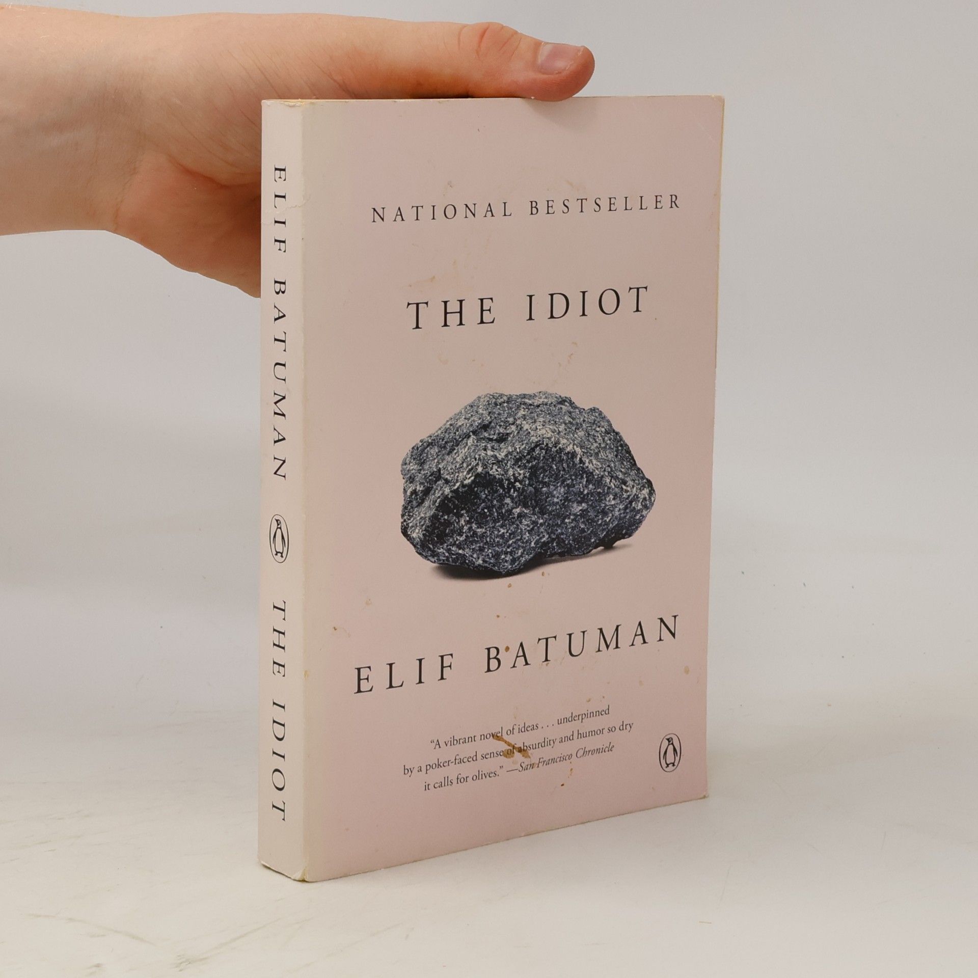 Elif Batuman The Idiot