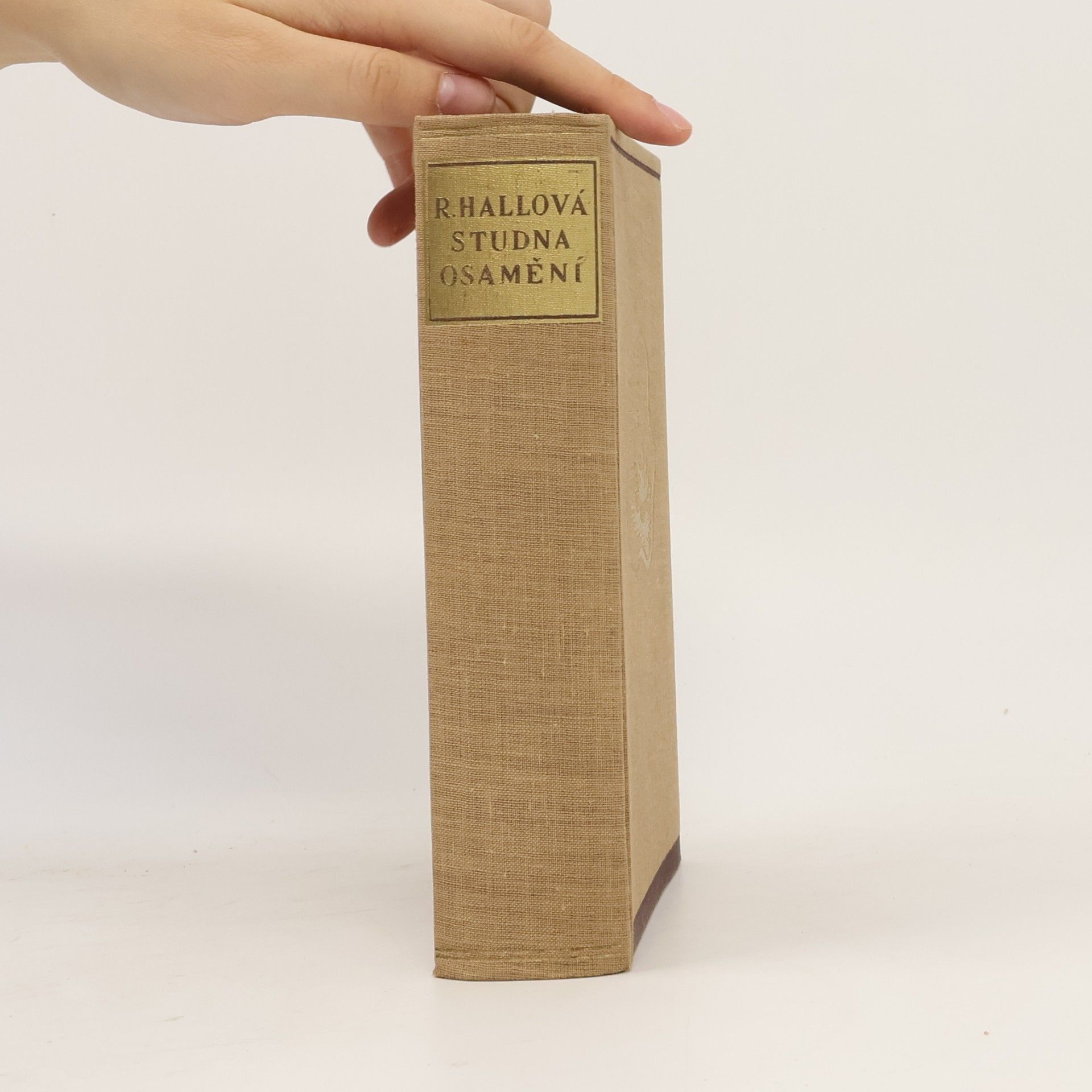 Radclyffe Hall Studna osamění