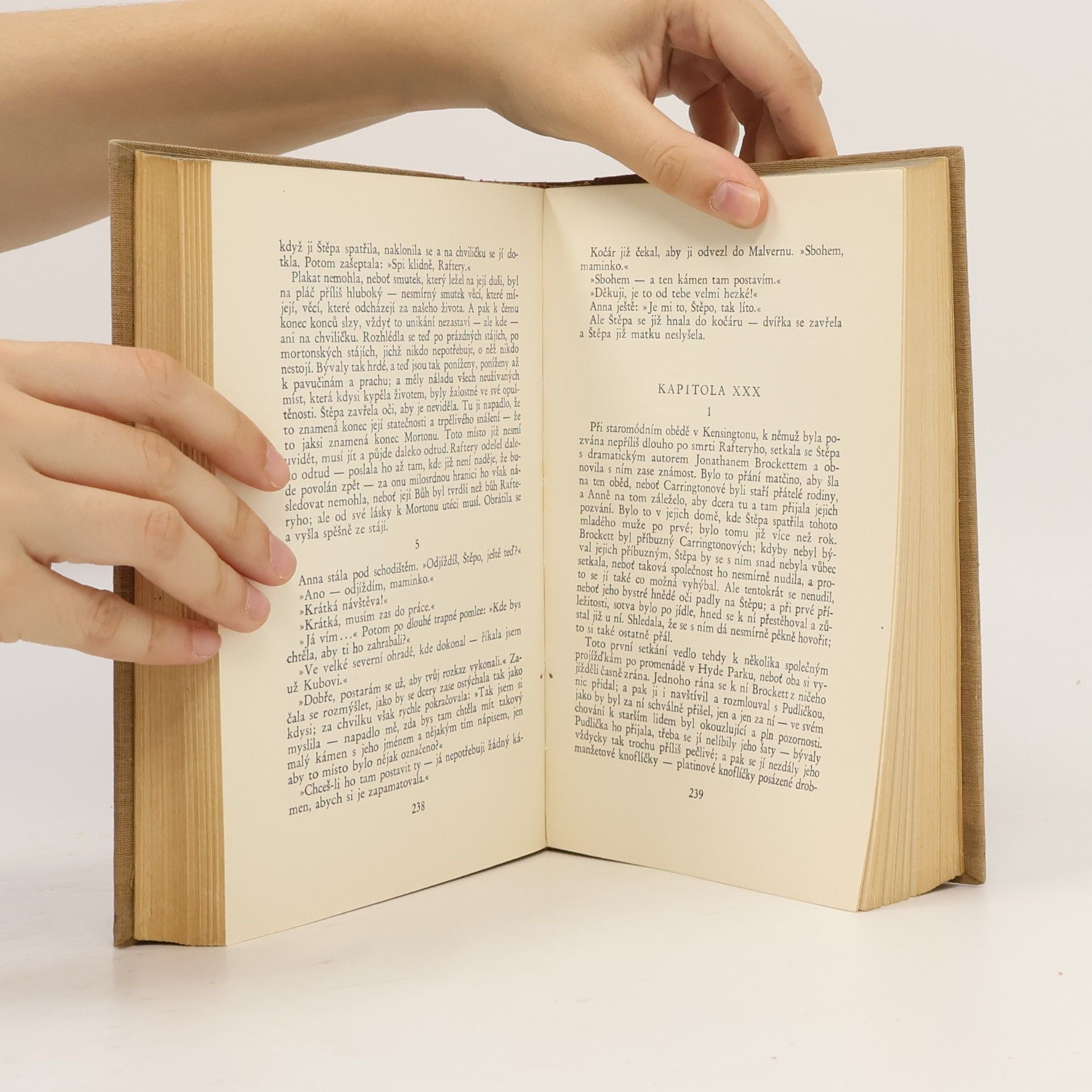 Radclyffe Hall Studna osamění