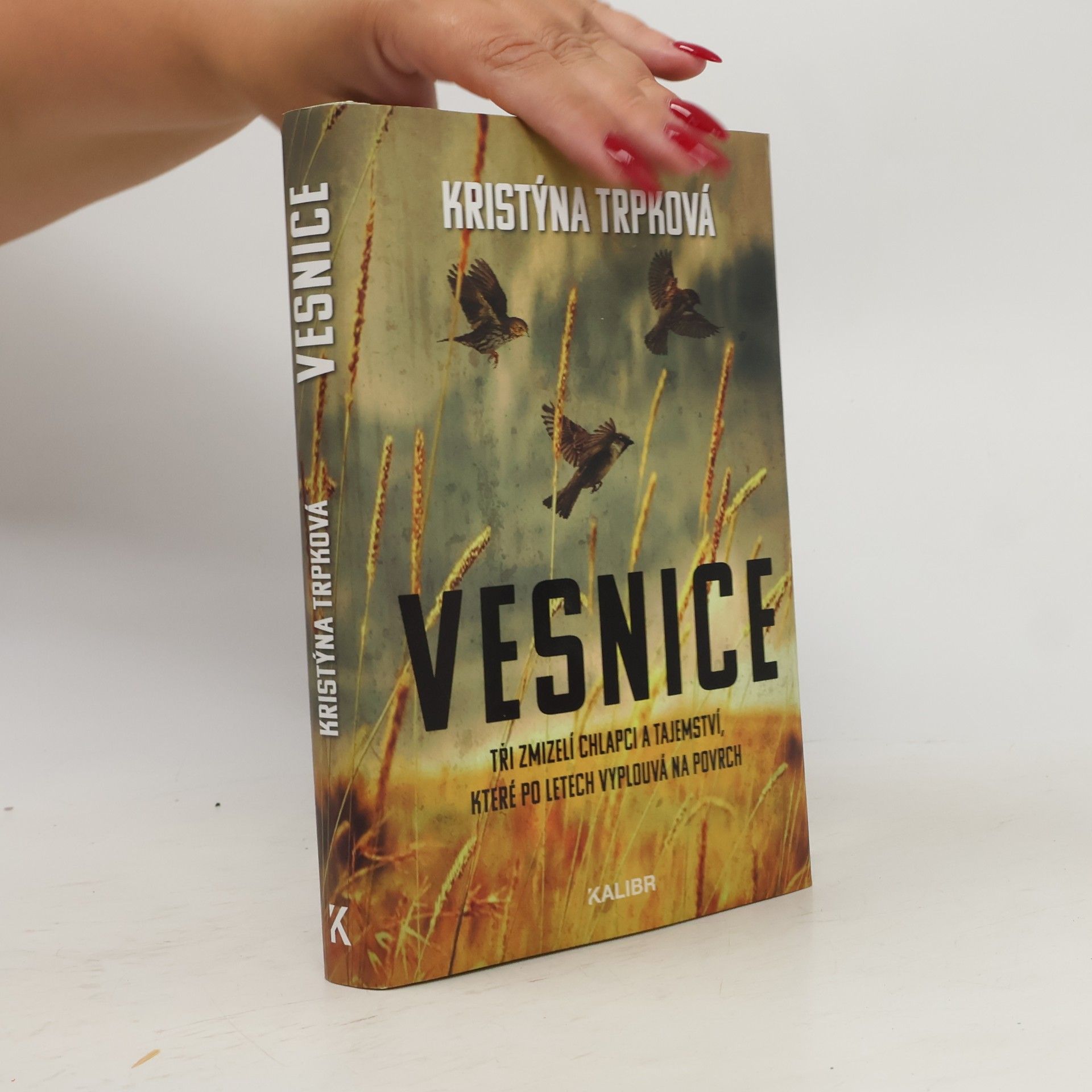 Kristýna Trpková Vesnice