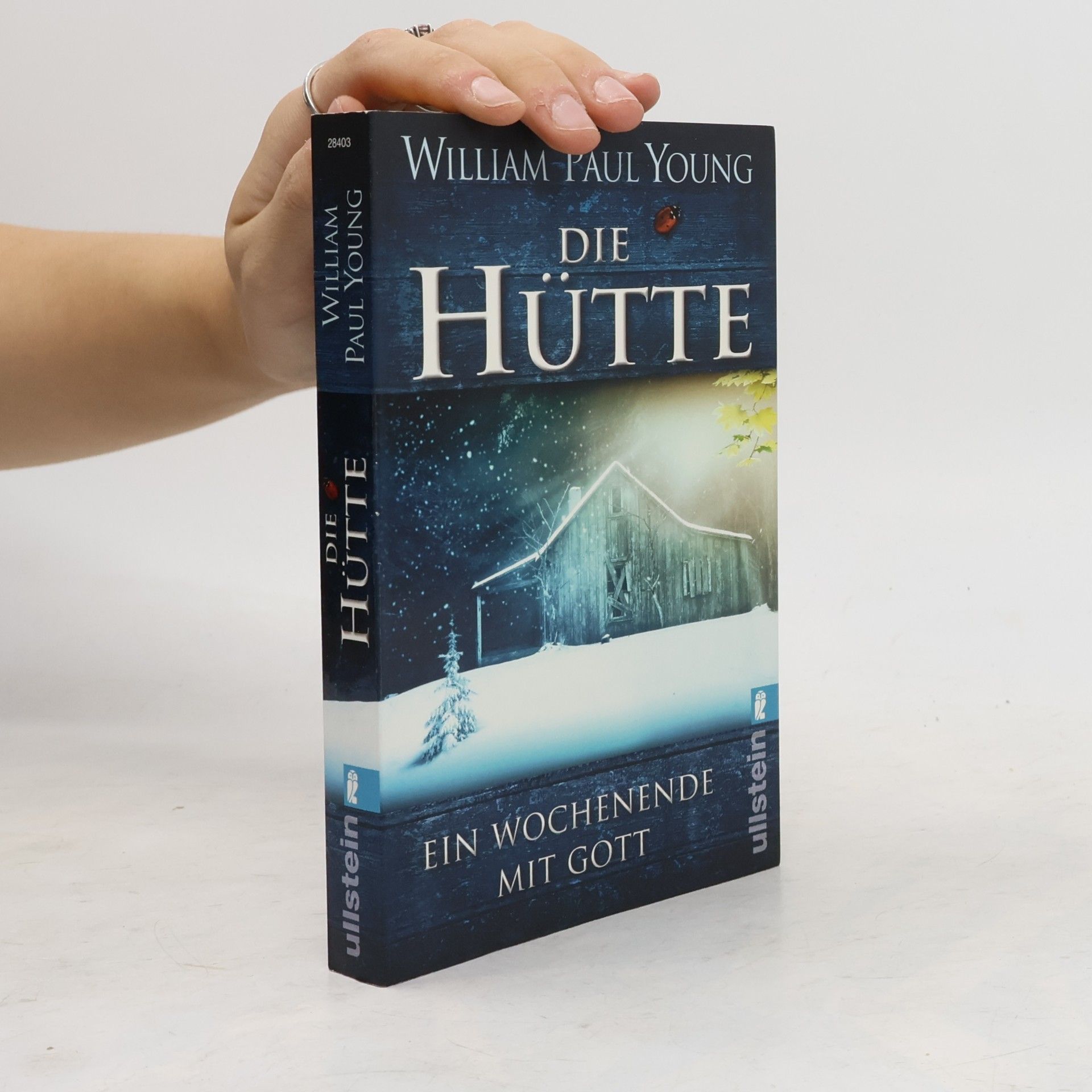 William P. Young Die Hütte
