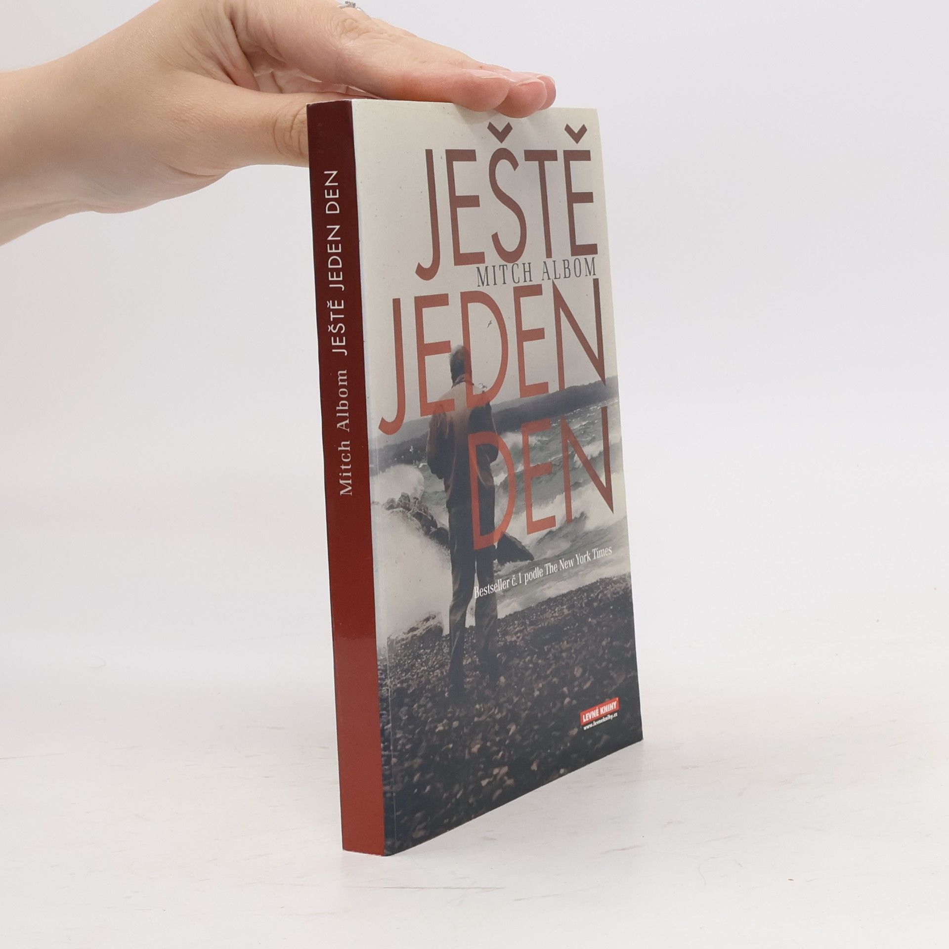 Mitch Albom Ještě jeden den