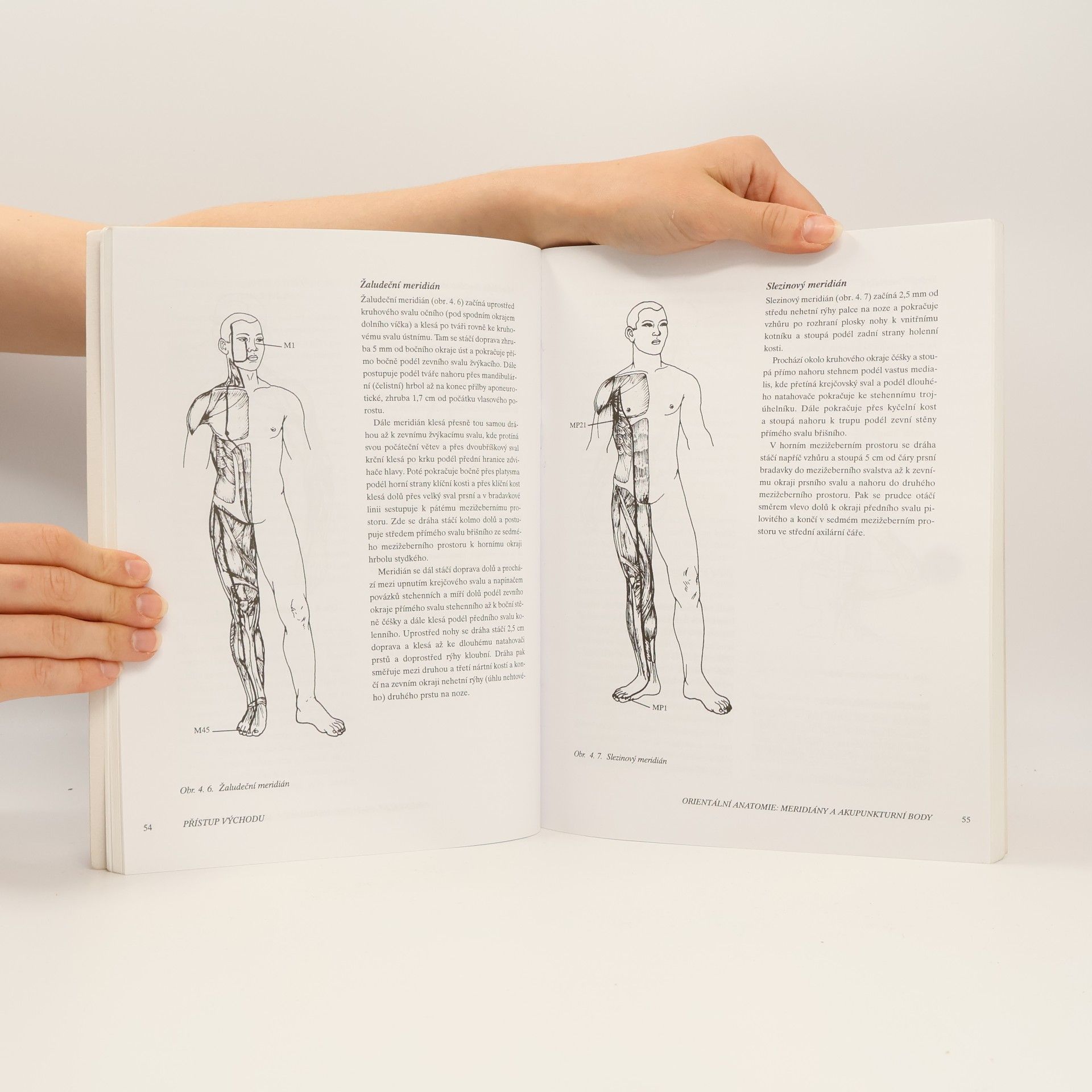 Carl Dubitsky Shiatsu: Orientální terapie