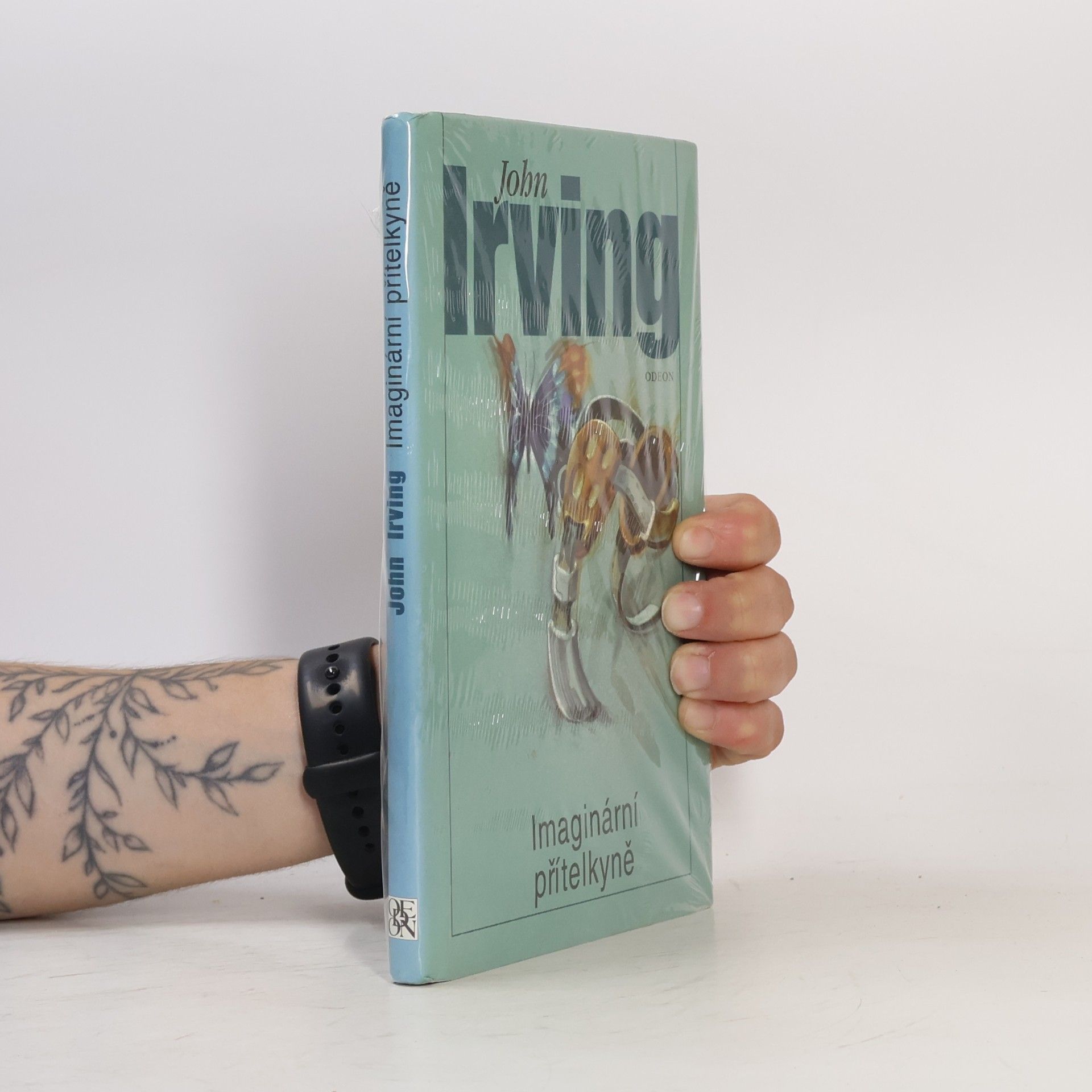 John Irving Imaginární přítelkyně