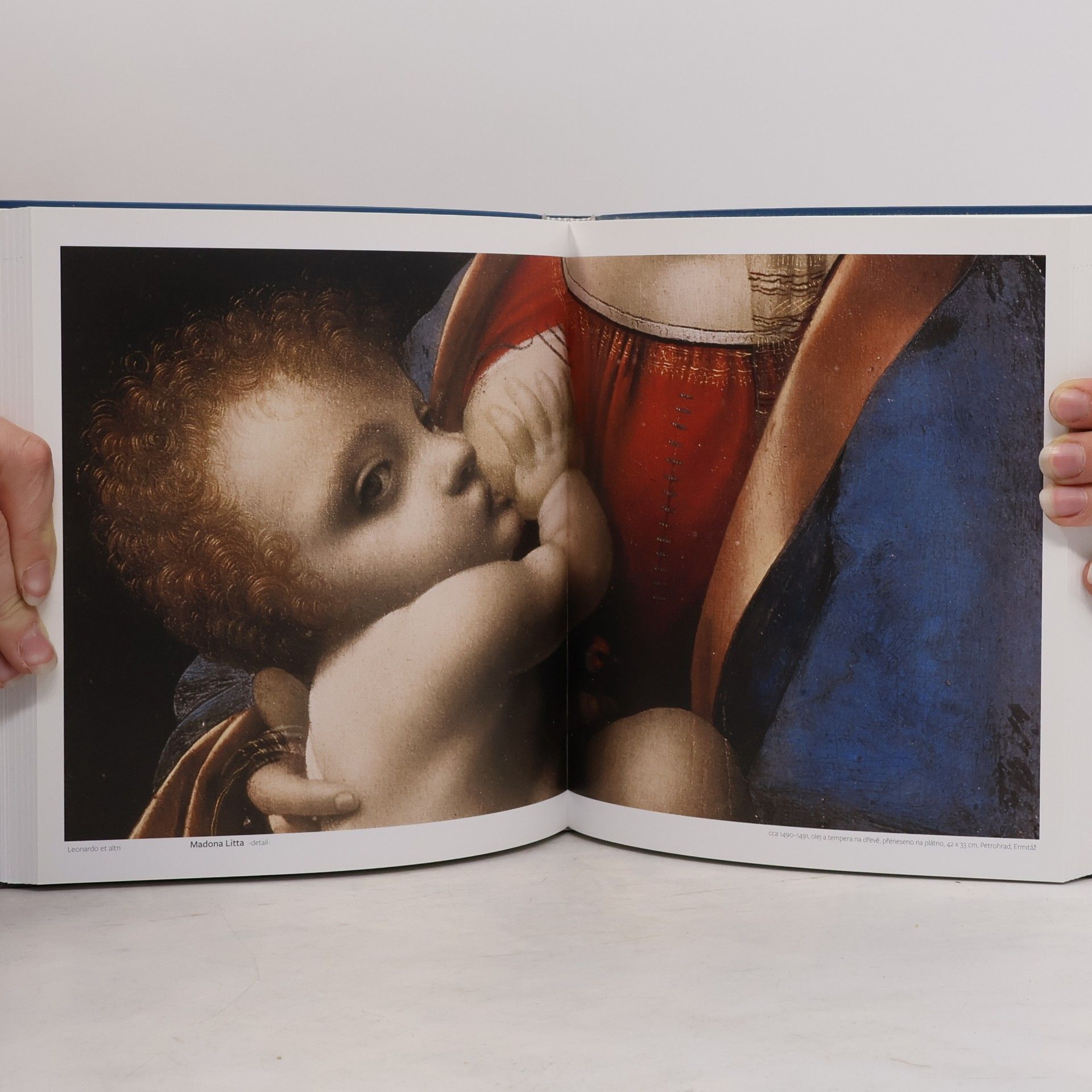 Alessandro Guasti Leonardo da Vinci. Život, osobnost a dílo