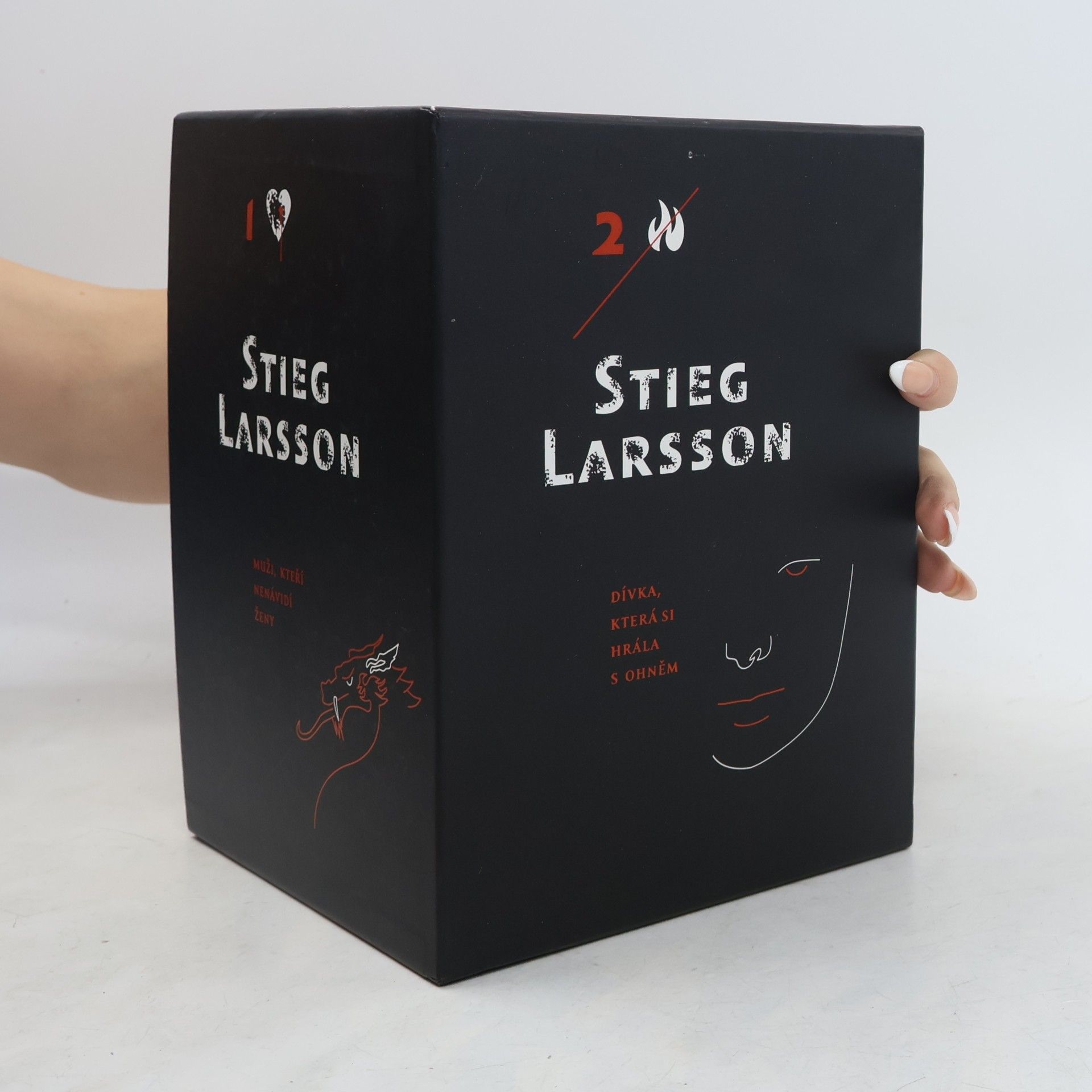 Stieg Larsson Milénium 1-3: Dívka, která kopla do vosího hnízda