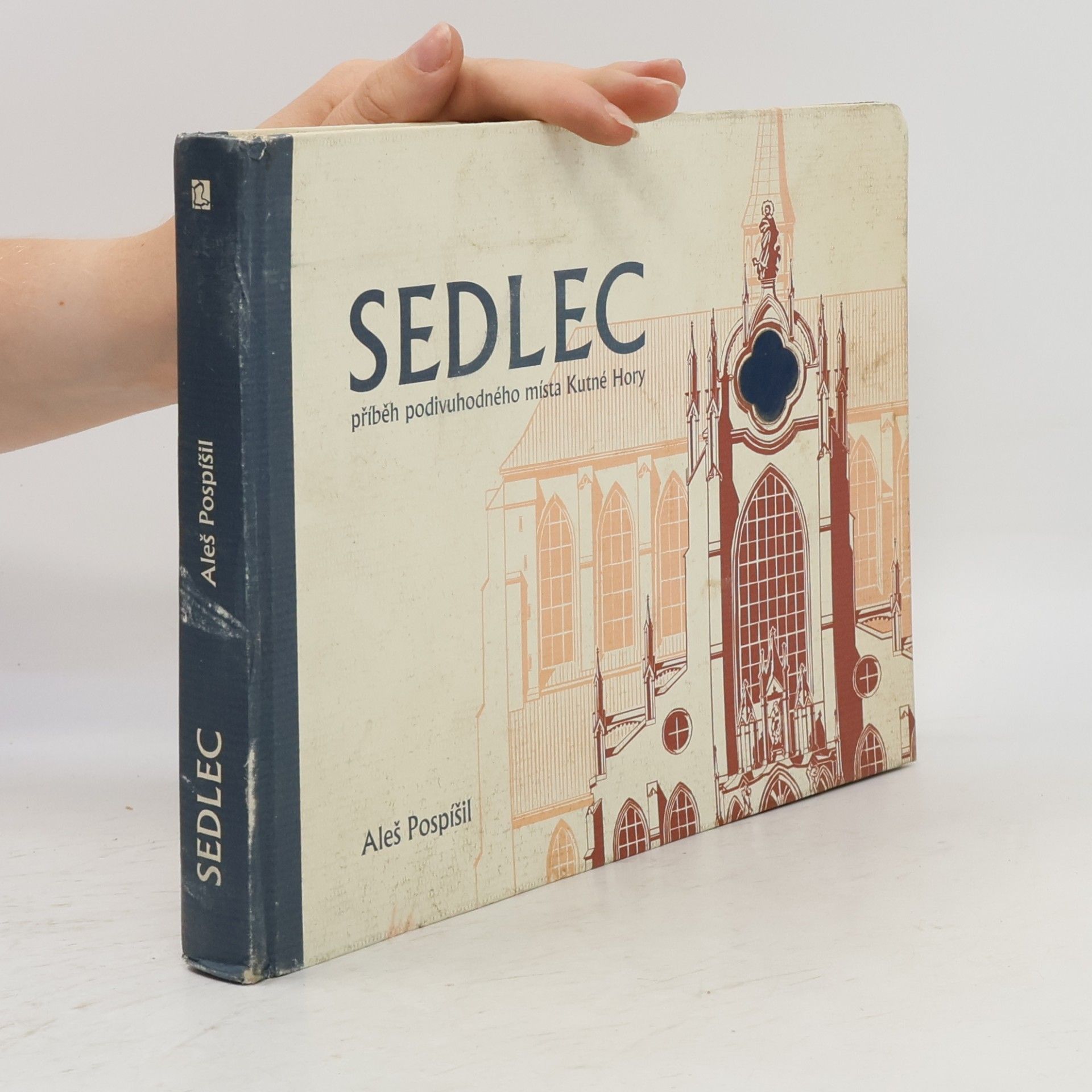 Aleš Pospíšil Sedlec - příběh podivuhodného místa Kutné Hory
