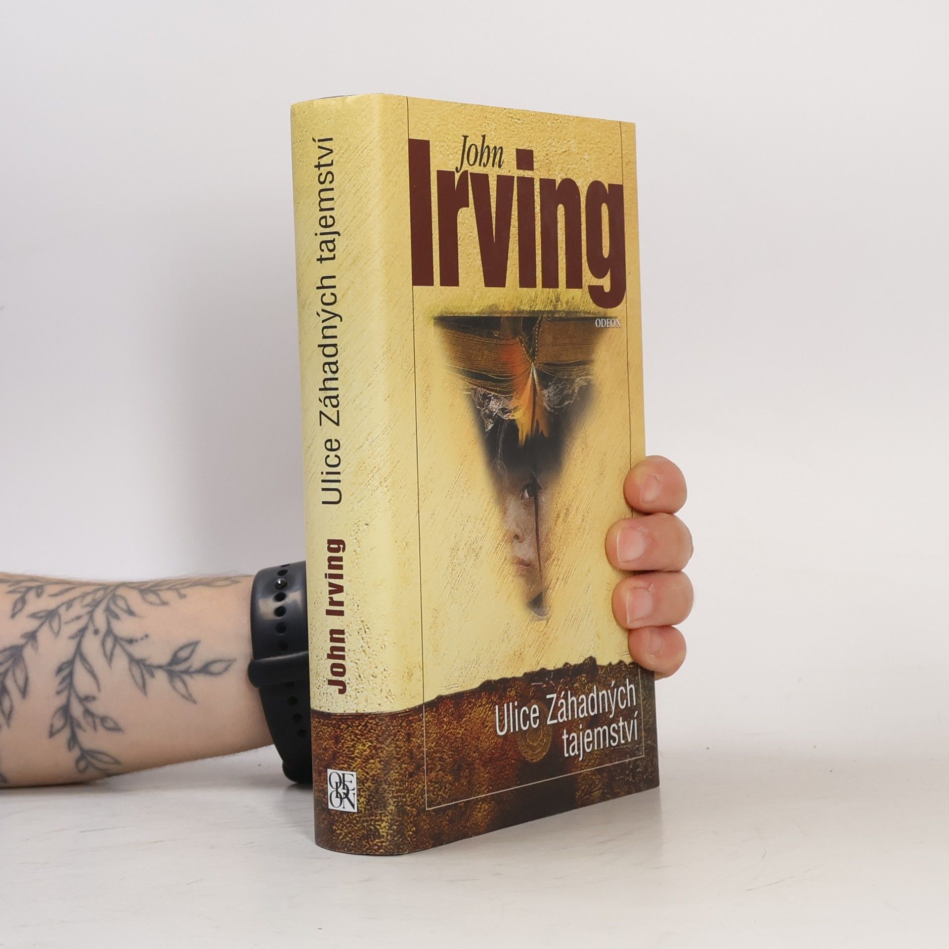 John Irving Ulice Záhadných tajemství