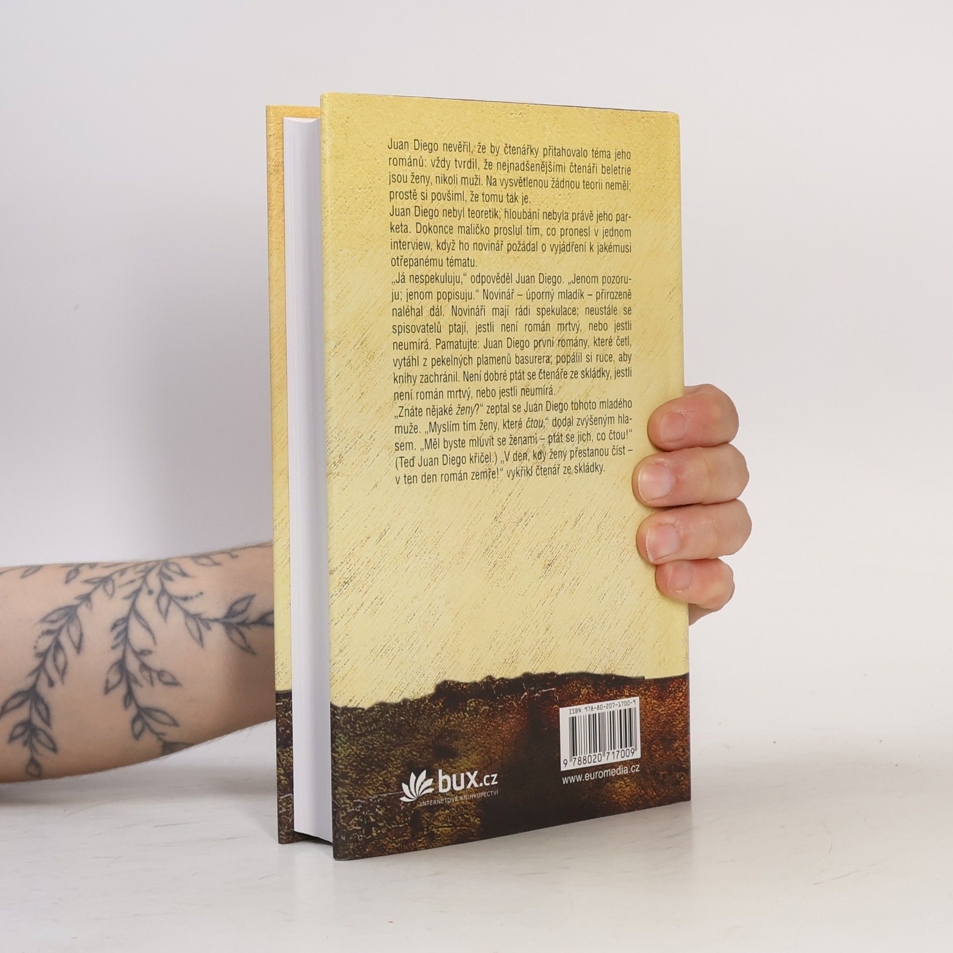 John Irving Ulice Záhadných tajemství