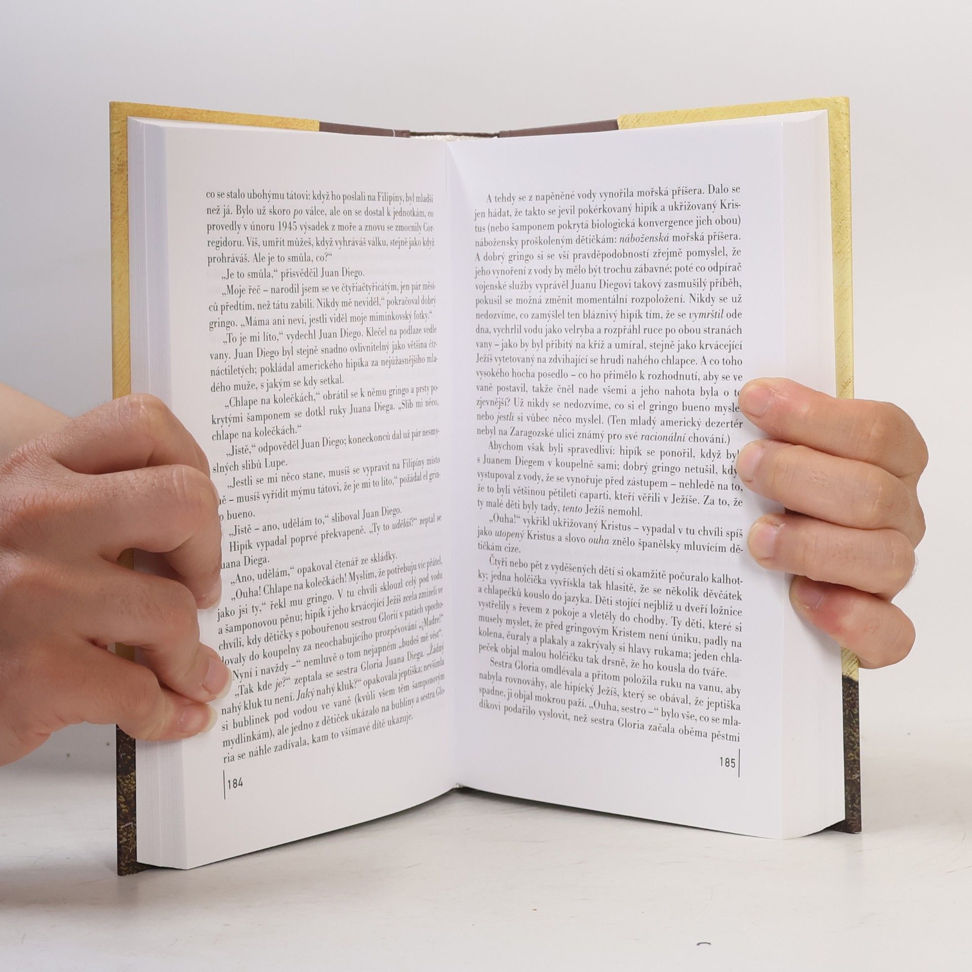 John Irving Ulice Záhadných tajemství