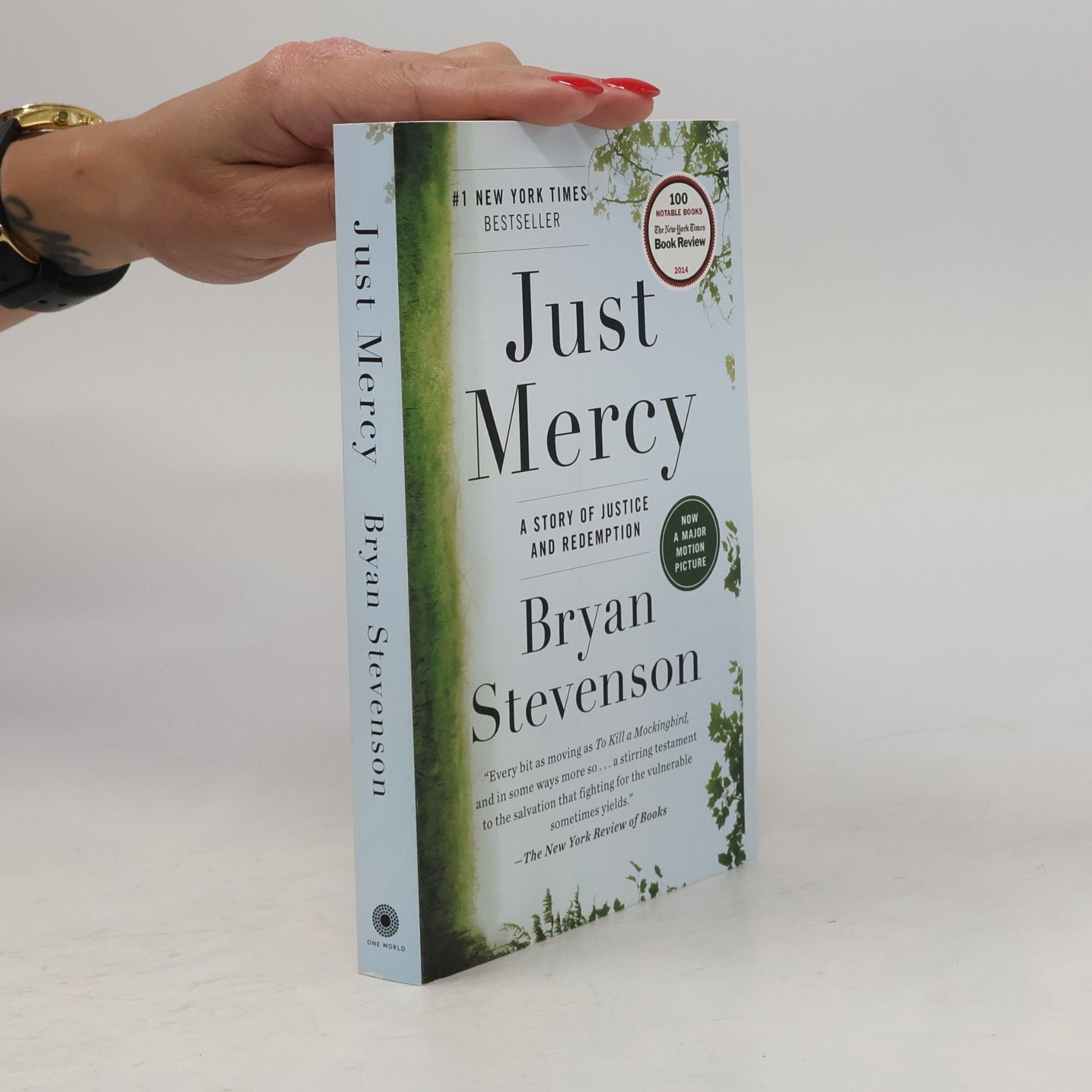 Bryan Stevenson Just mercy