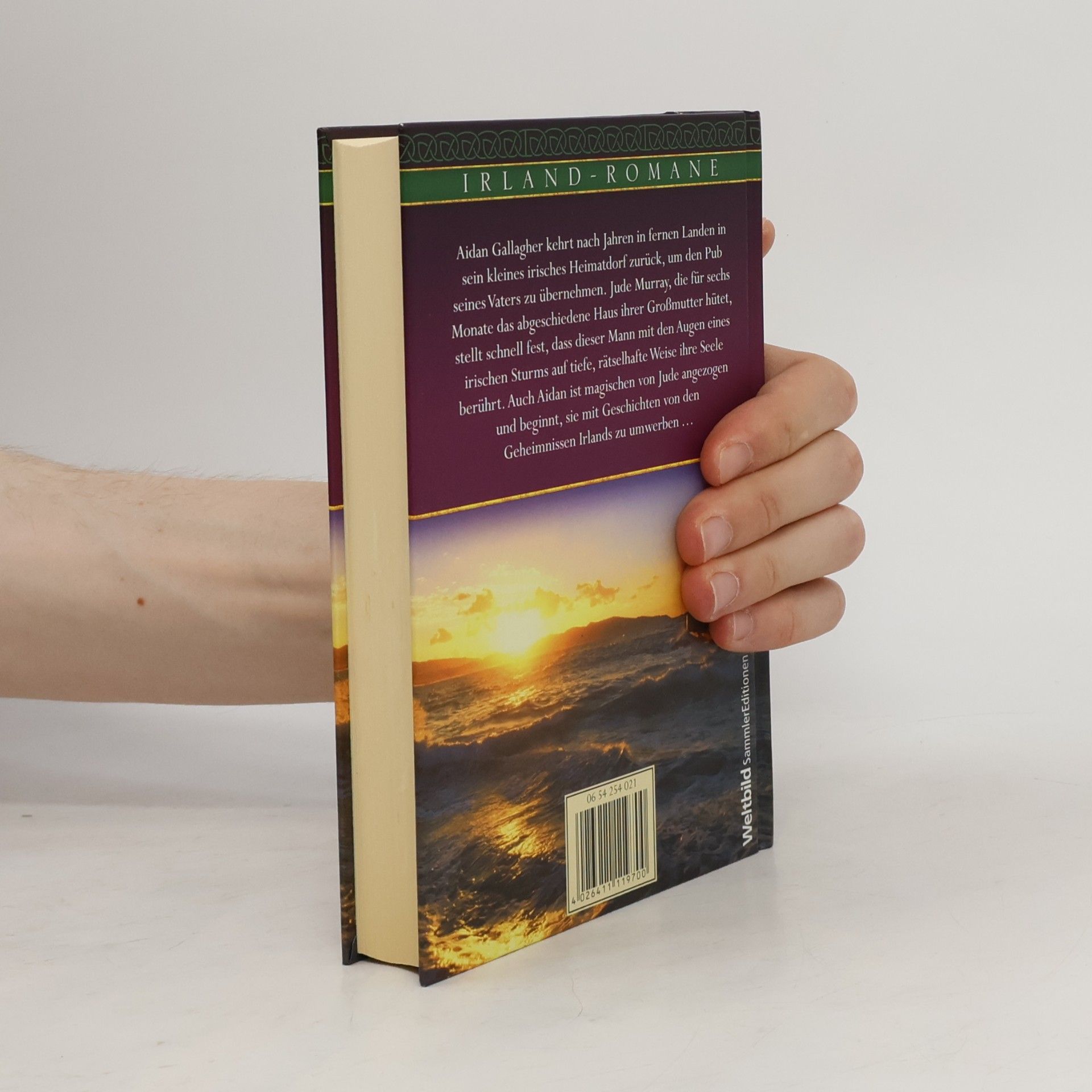 Nora Roberts Insel des Sturms
