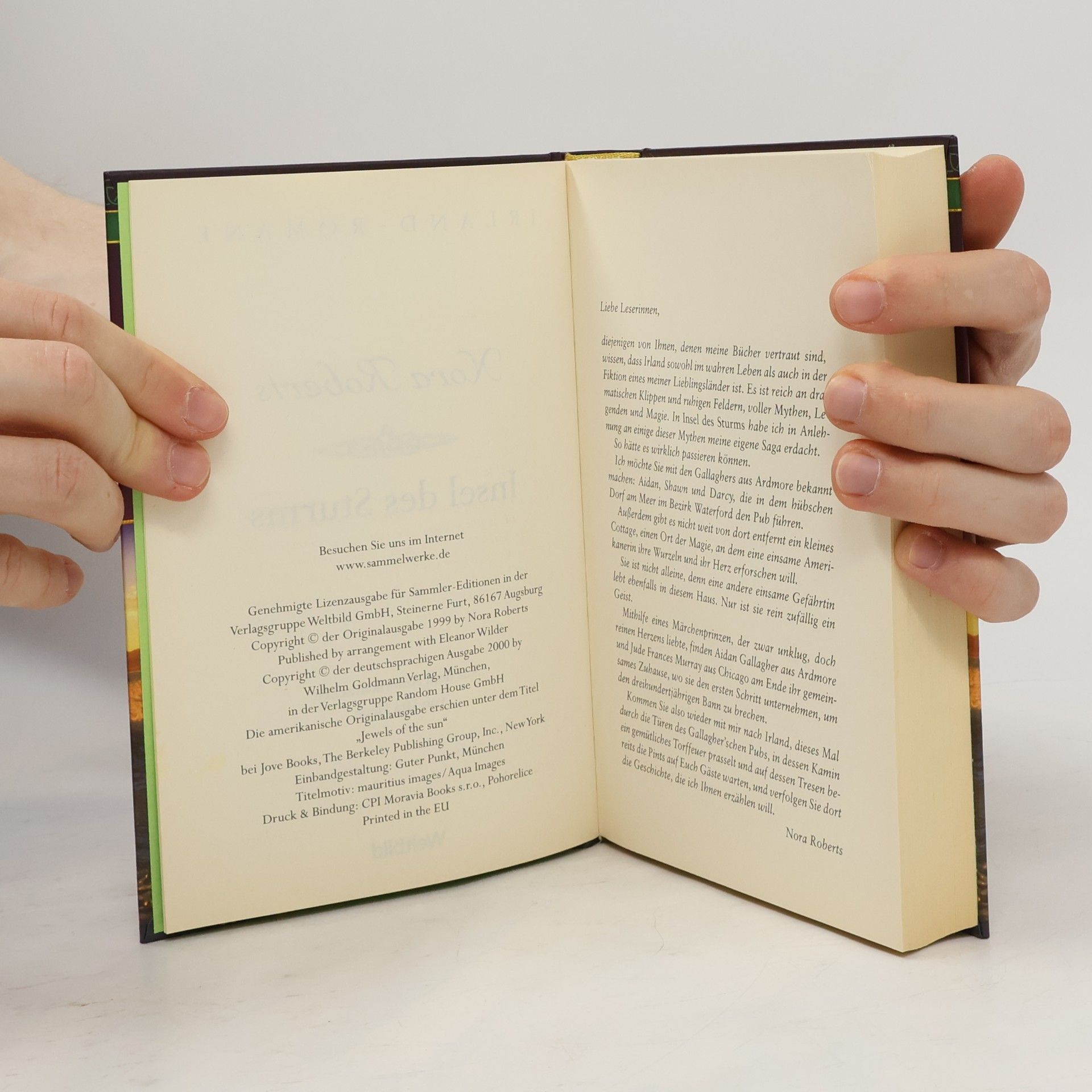 Nora Roberts Insel des Sturms