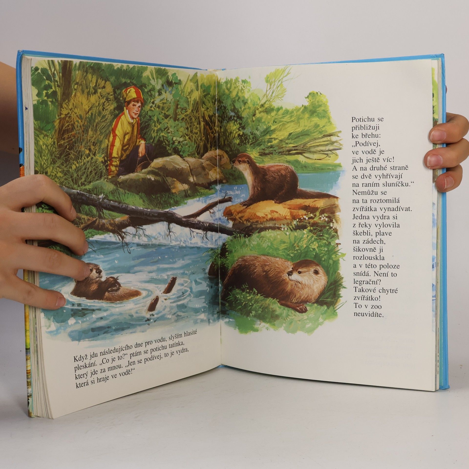 Autorenkollektiv Zvířátka jsou naši přátelé