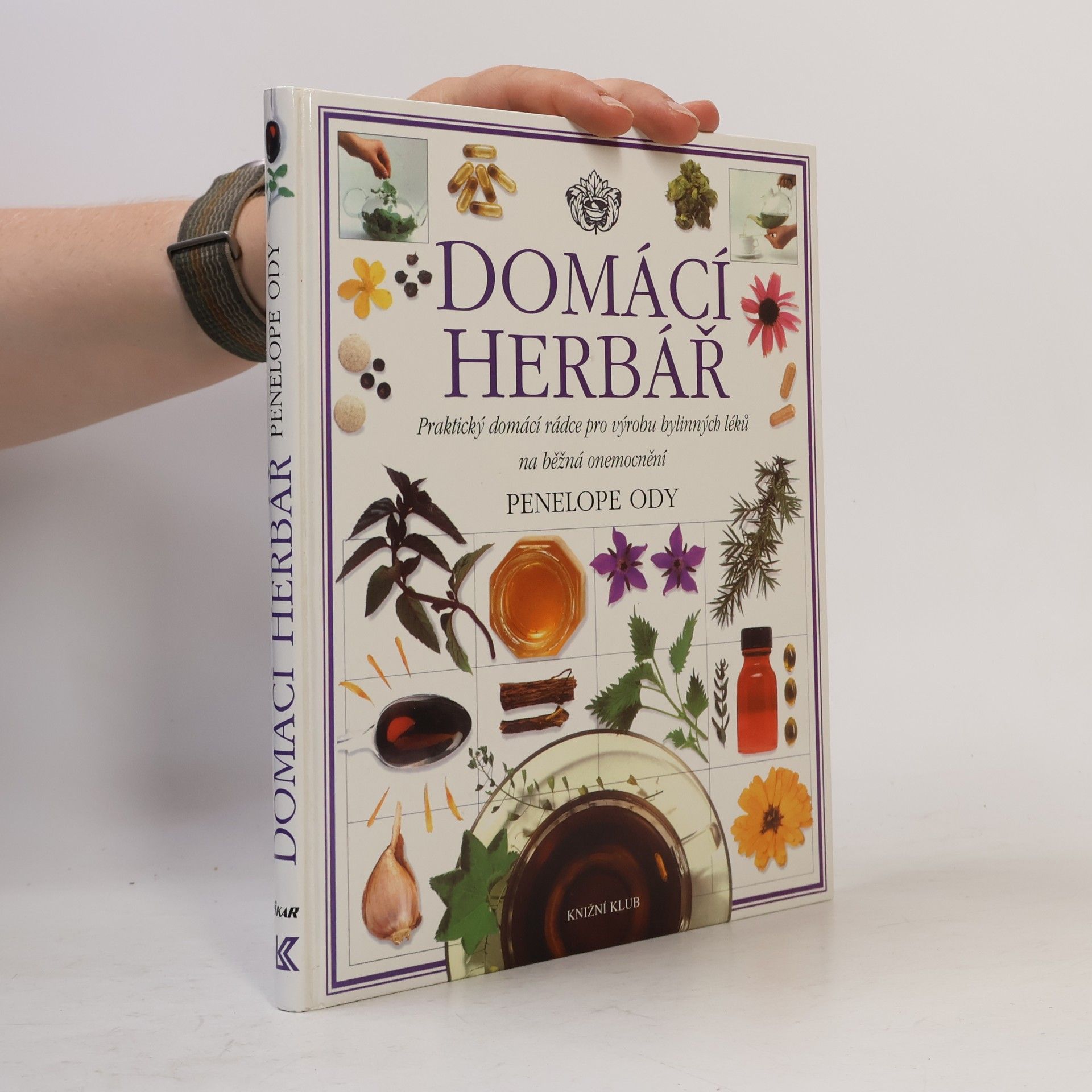 Domácí herbář : praktický domácí rádce pro výrobu bylinných léků na běžná onemocnění