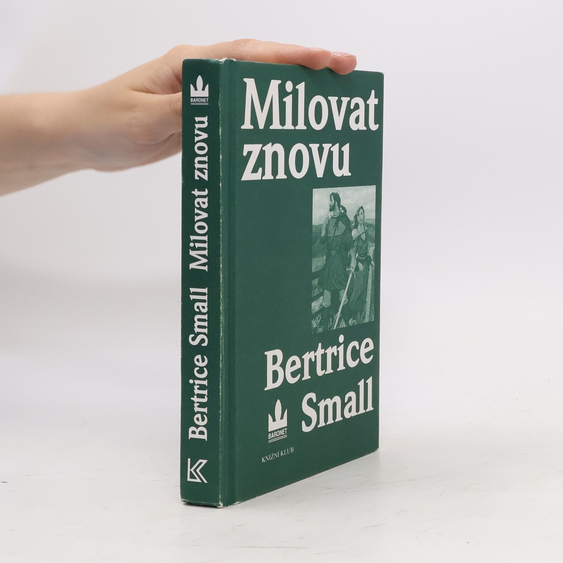 Bertrice Small Milovat znovu