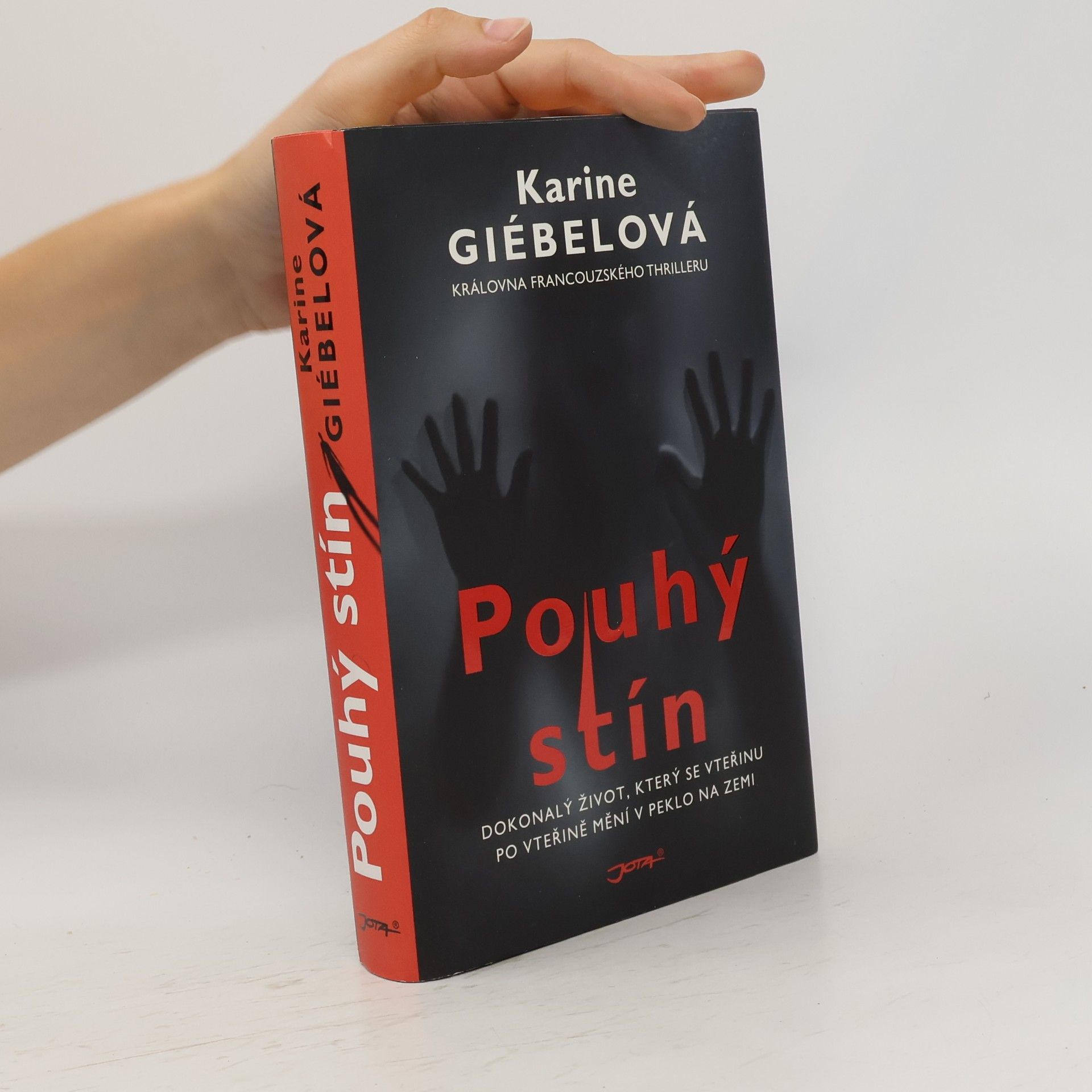 Karine Giebel Pouhý stín