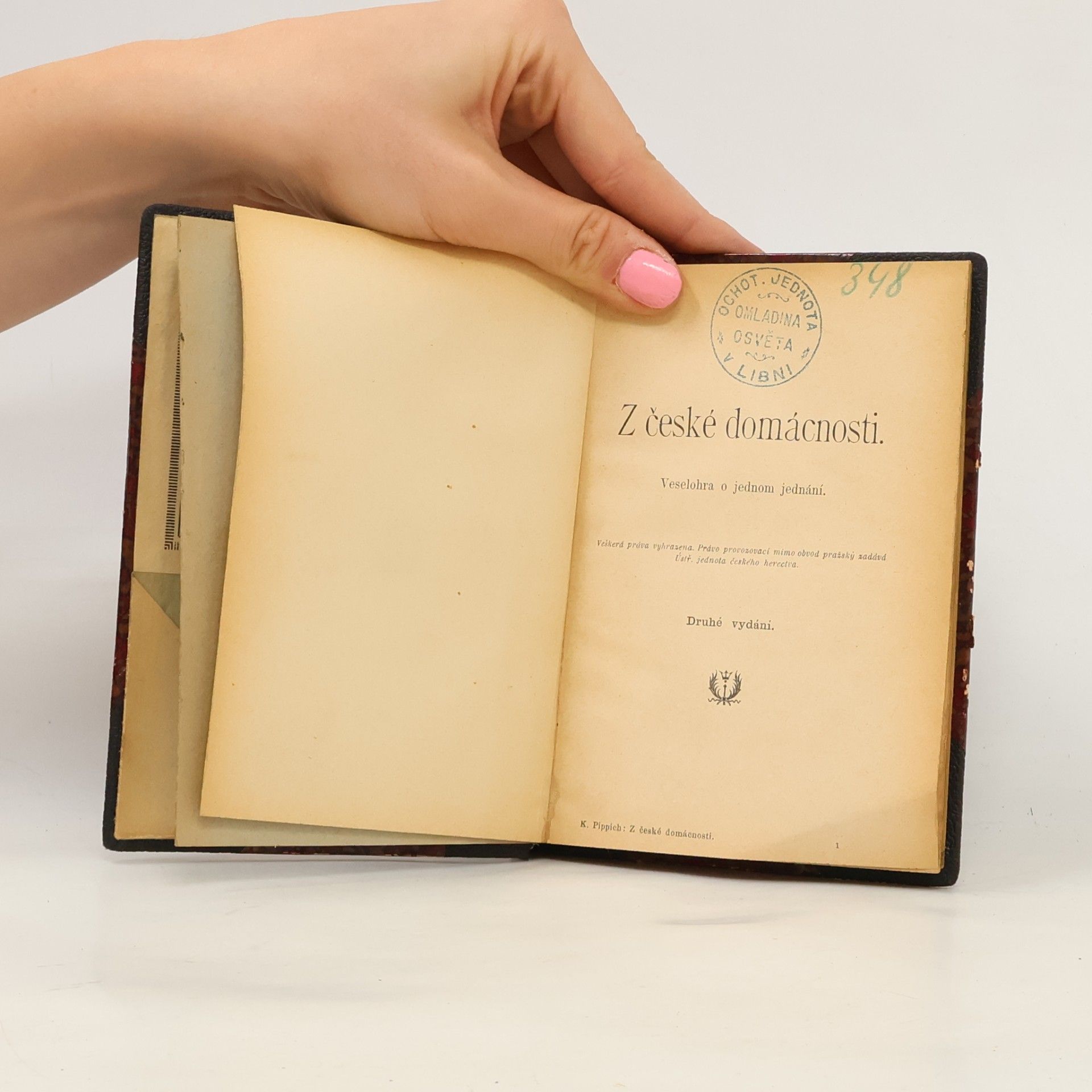 Karel Pippich Z české domácnosti