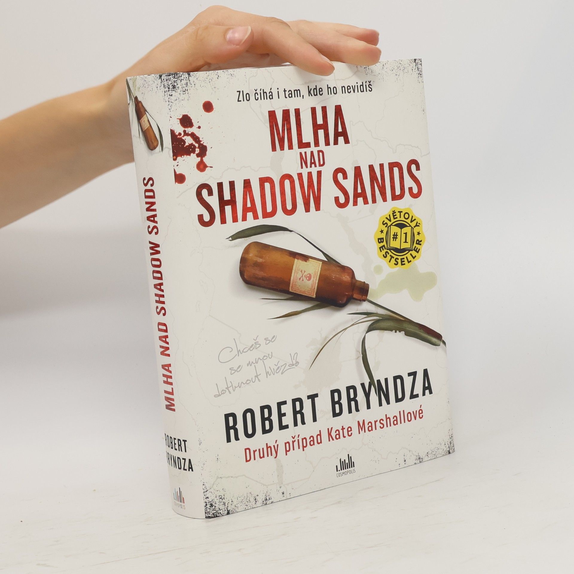 Robert Bryndza Mlha nad Shadow Sands
