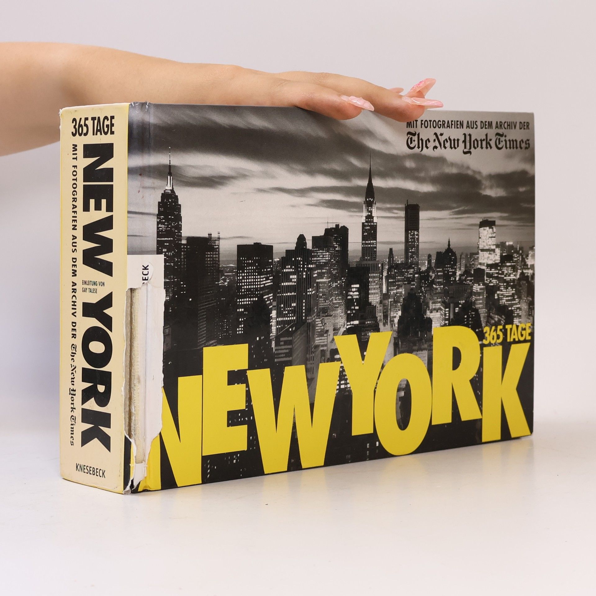 Manfred Allié New York - 365 Tage
