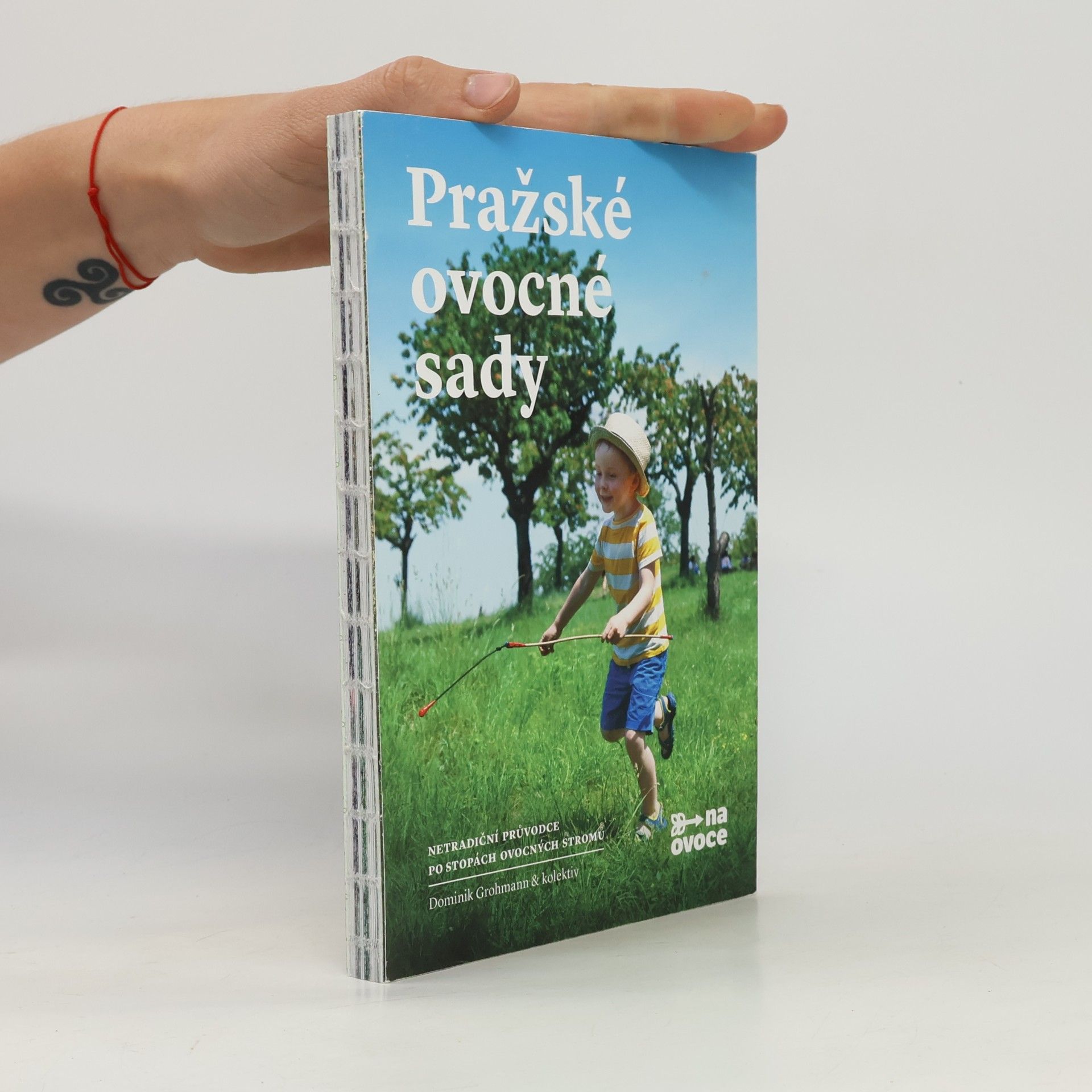 Dominik Grohmann Pražské ovocné sady