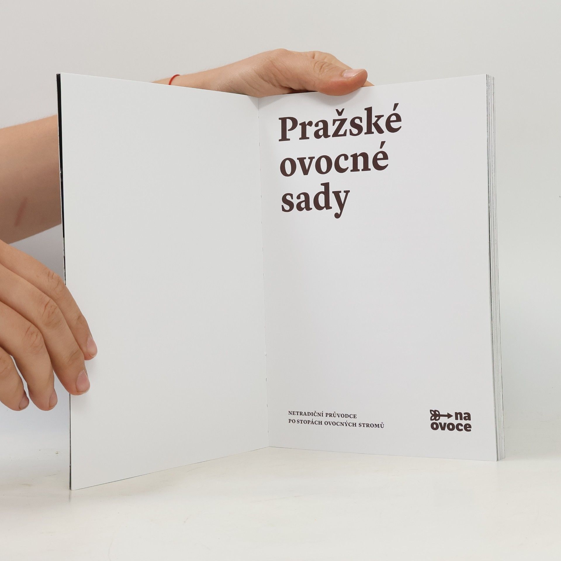 Dominik Grohmann Pražské ovocné sady