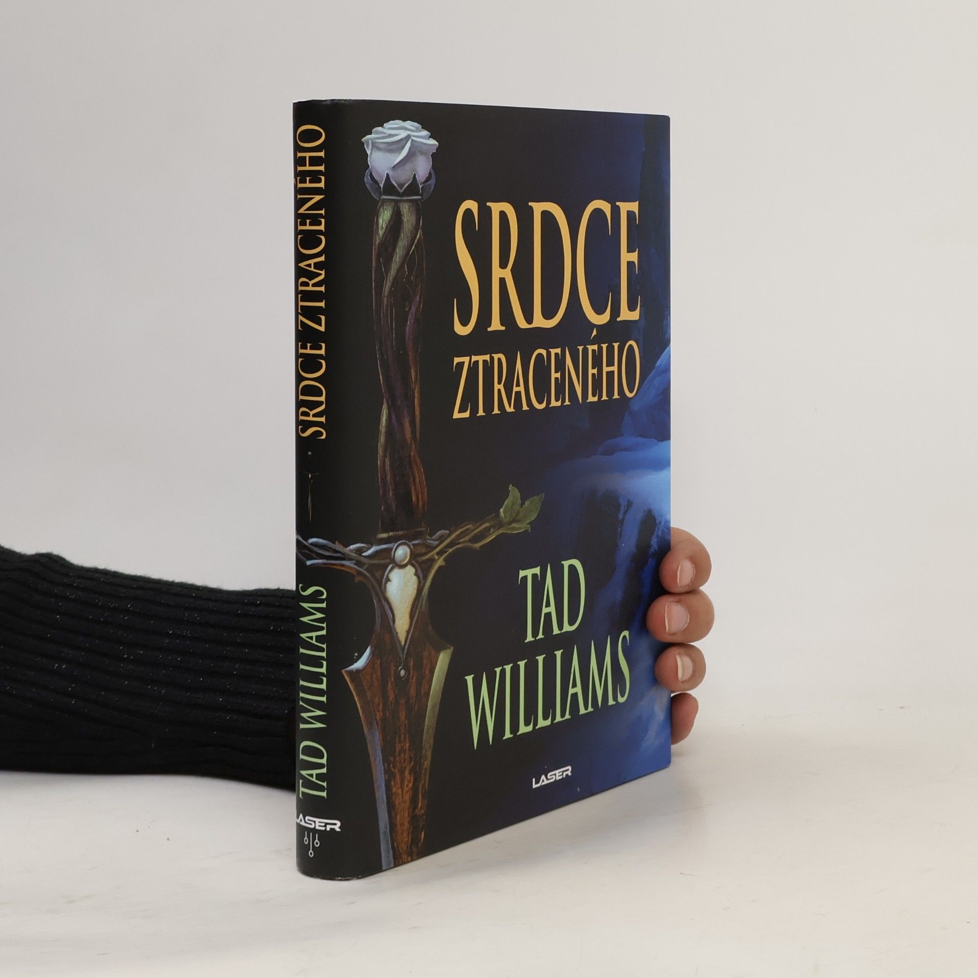 Tad Williams Srdce ztraceného