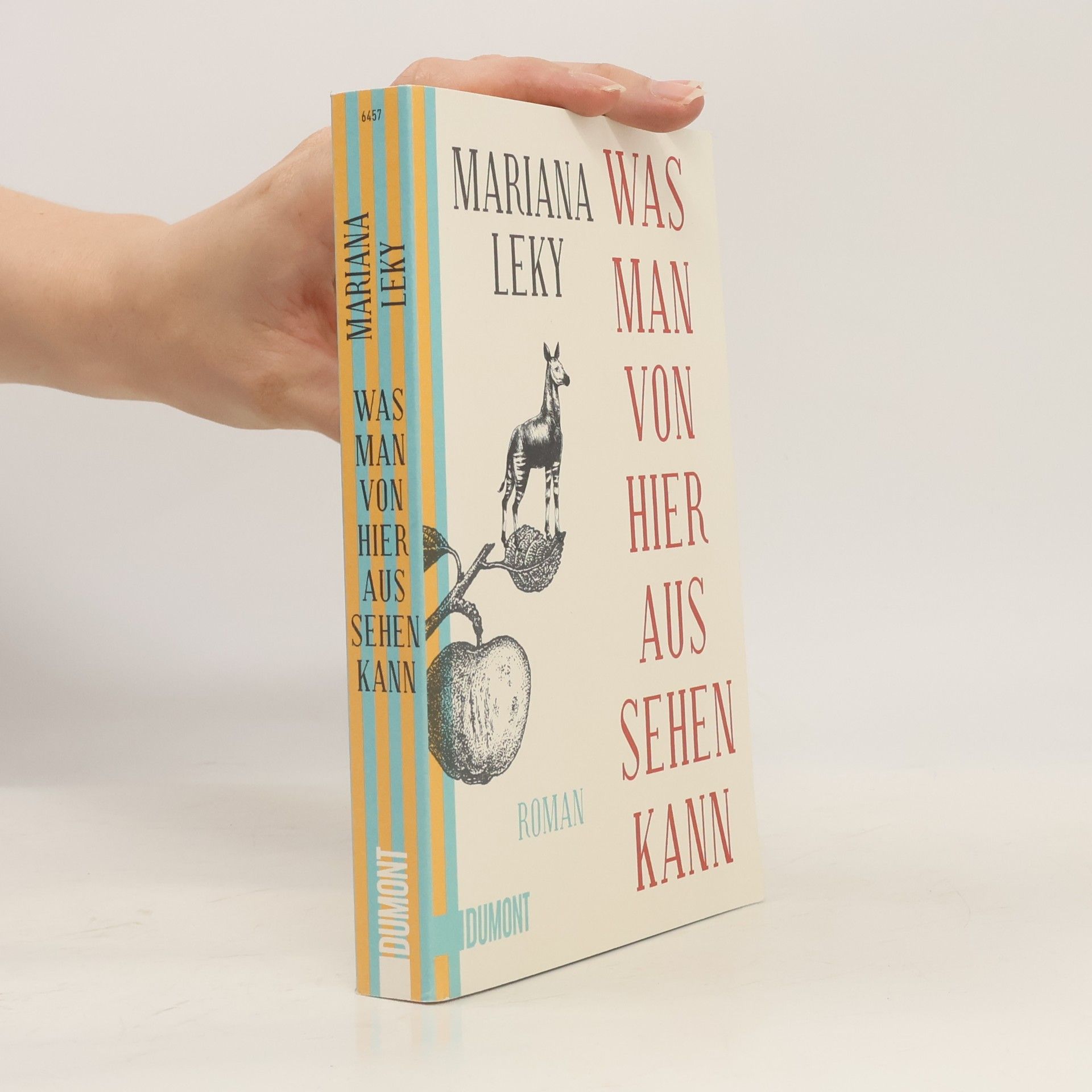 Mariana Leky Was man von hier aus sehen kann