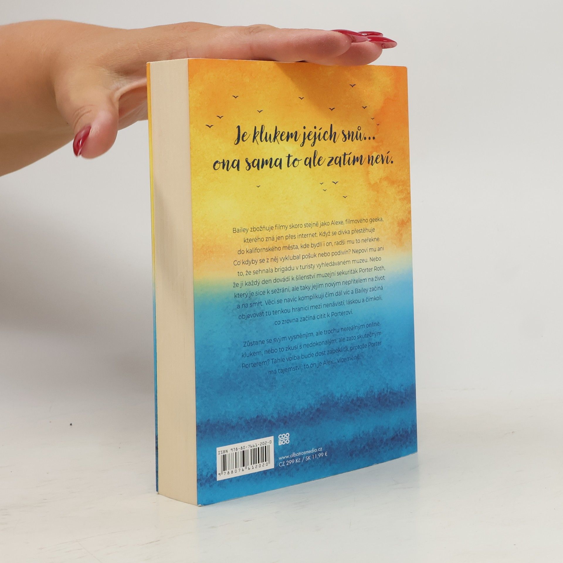 Jenn Bennett Na jedné vlně