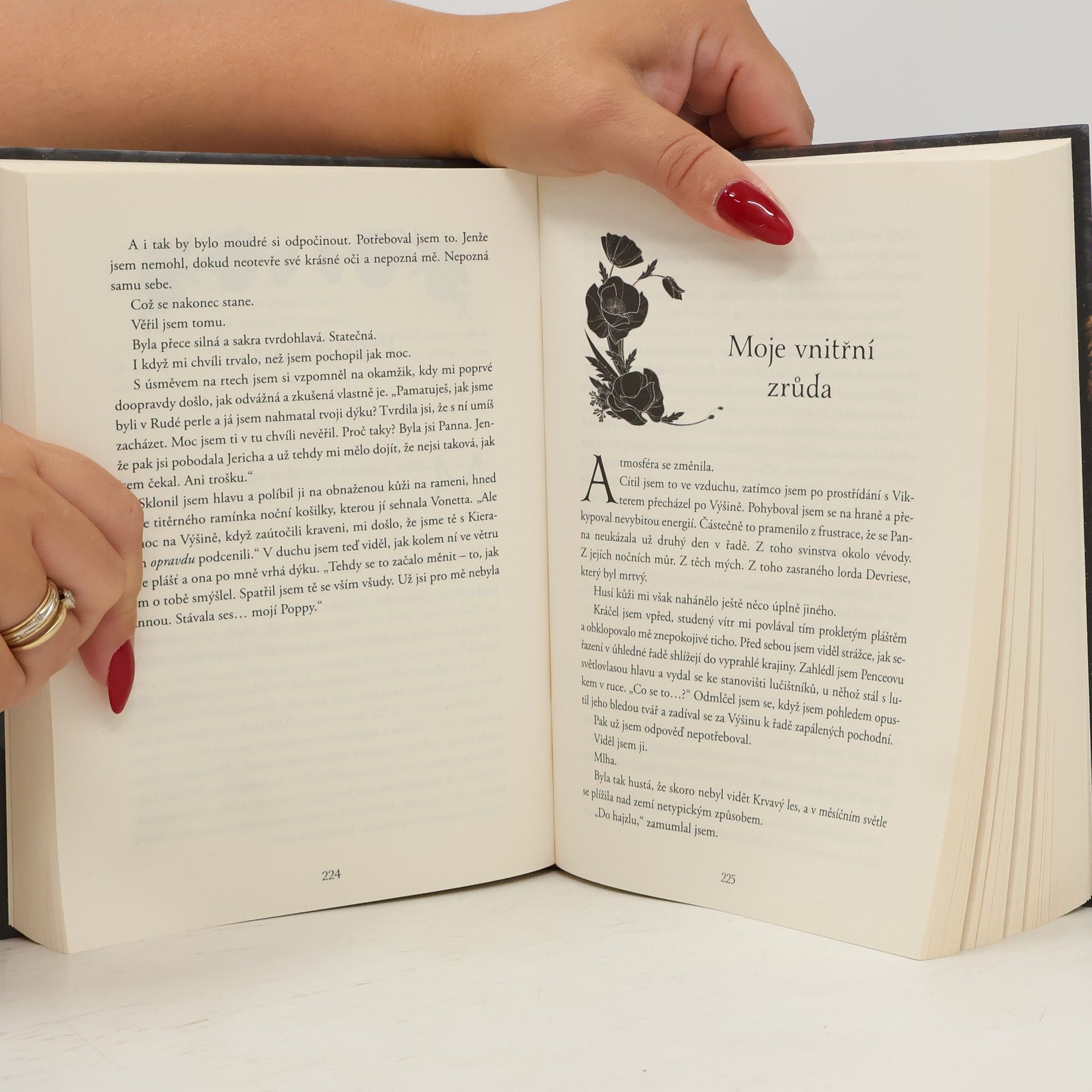 Jennifer Armentrout Duše krve a popela