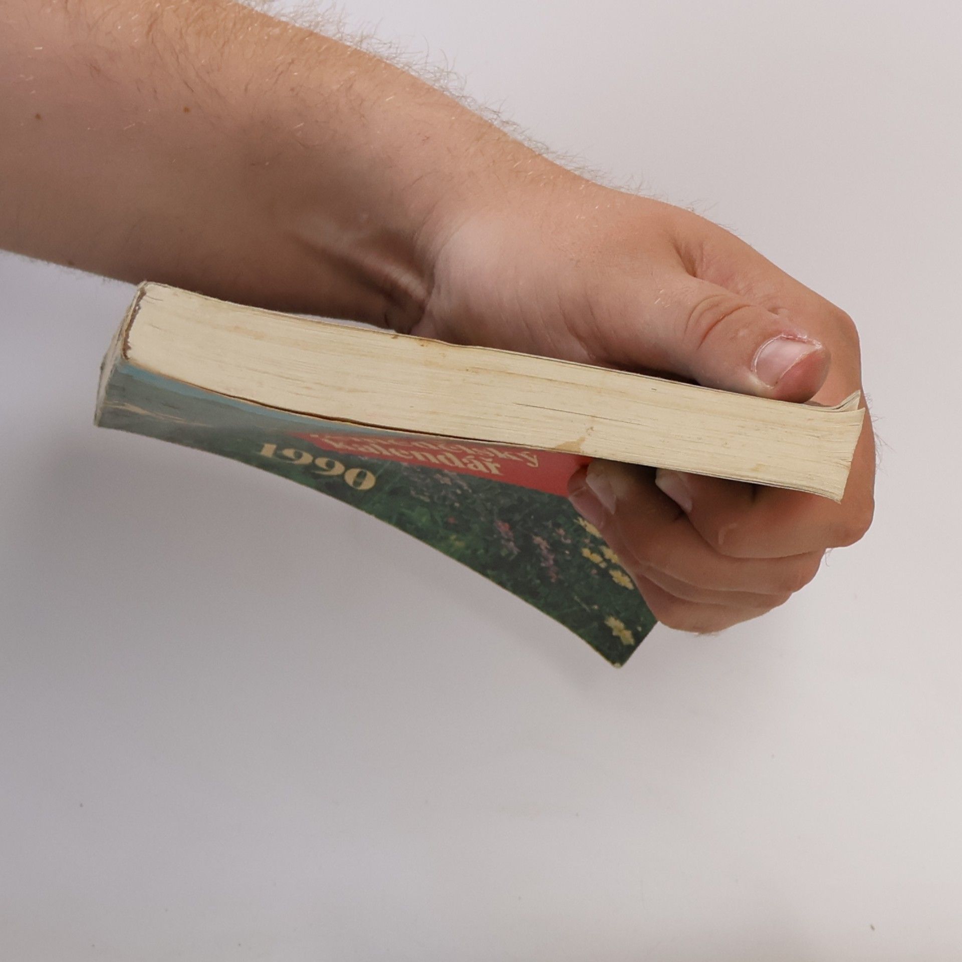 Autorenkollektiv Zemědělský kalendář 1990