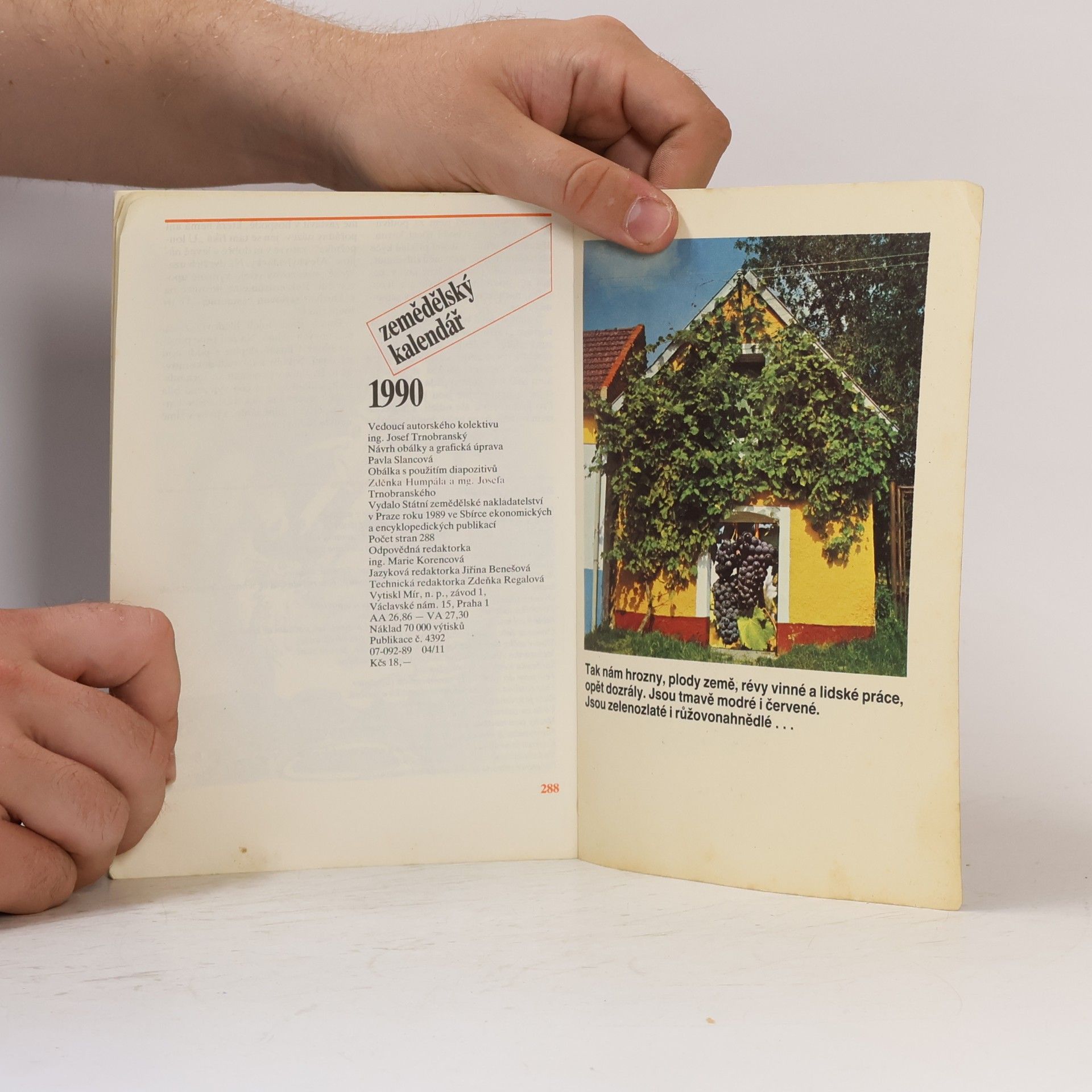 Autorenkollektiv Zemědělský kalendář 1990