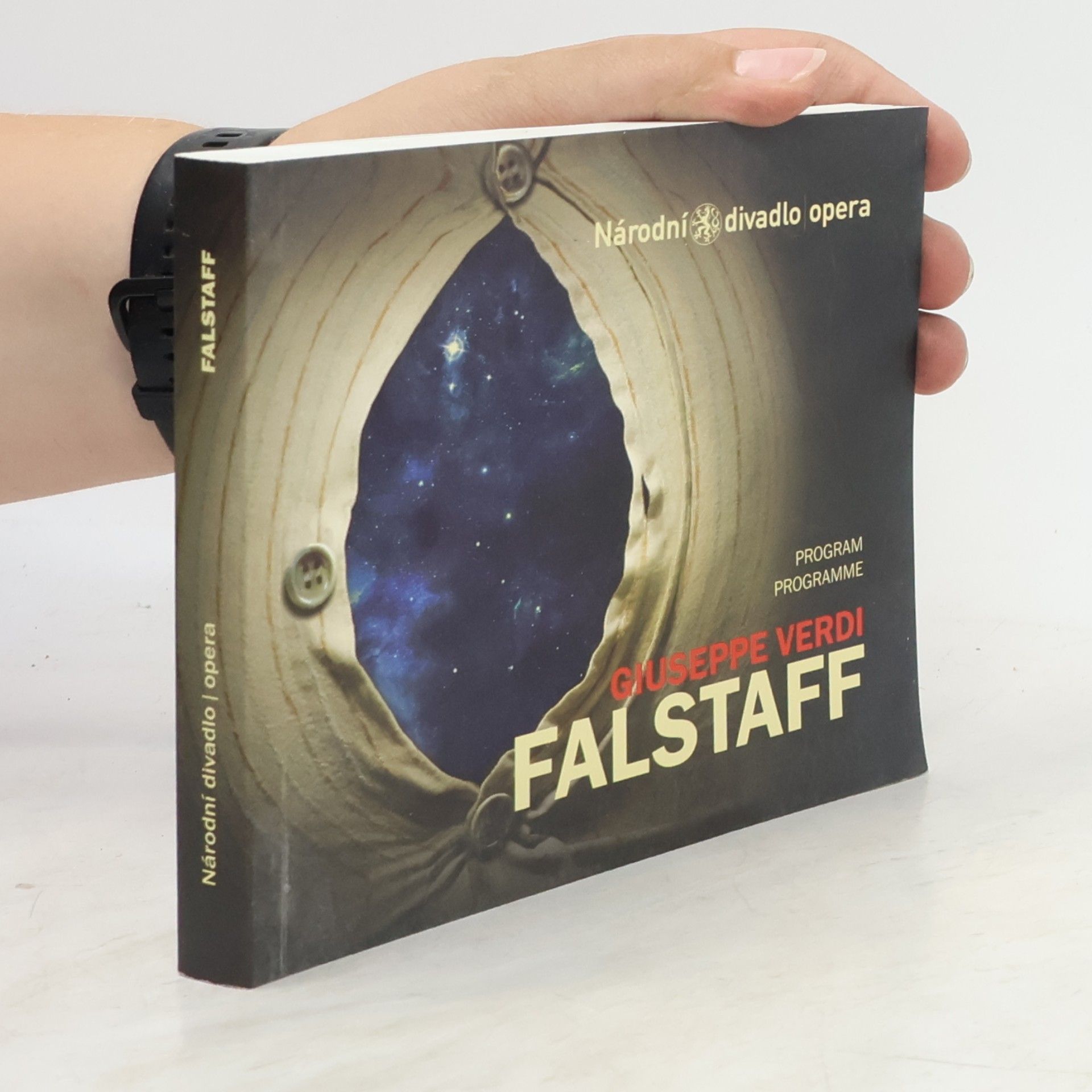 Giuseppe Verdi: Falstaff