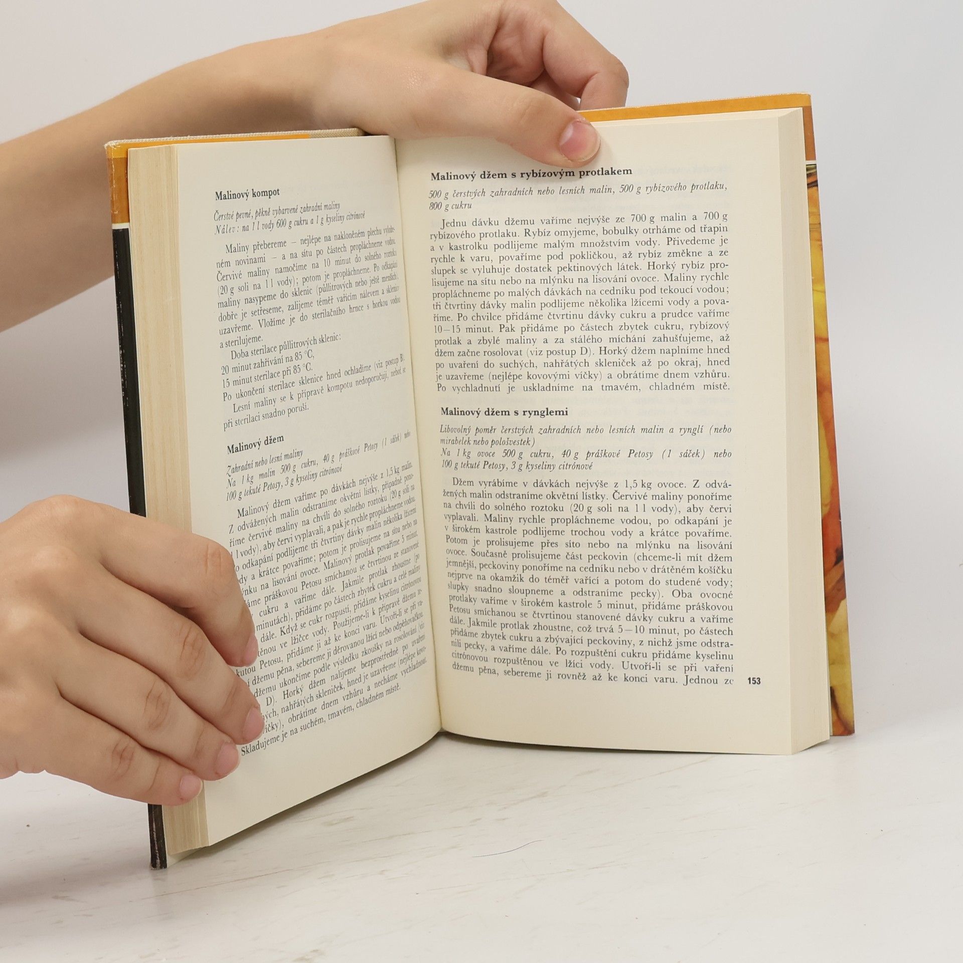 Autores varios Domácí konzervování ovoce a zeleniny