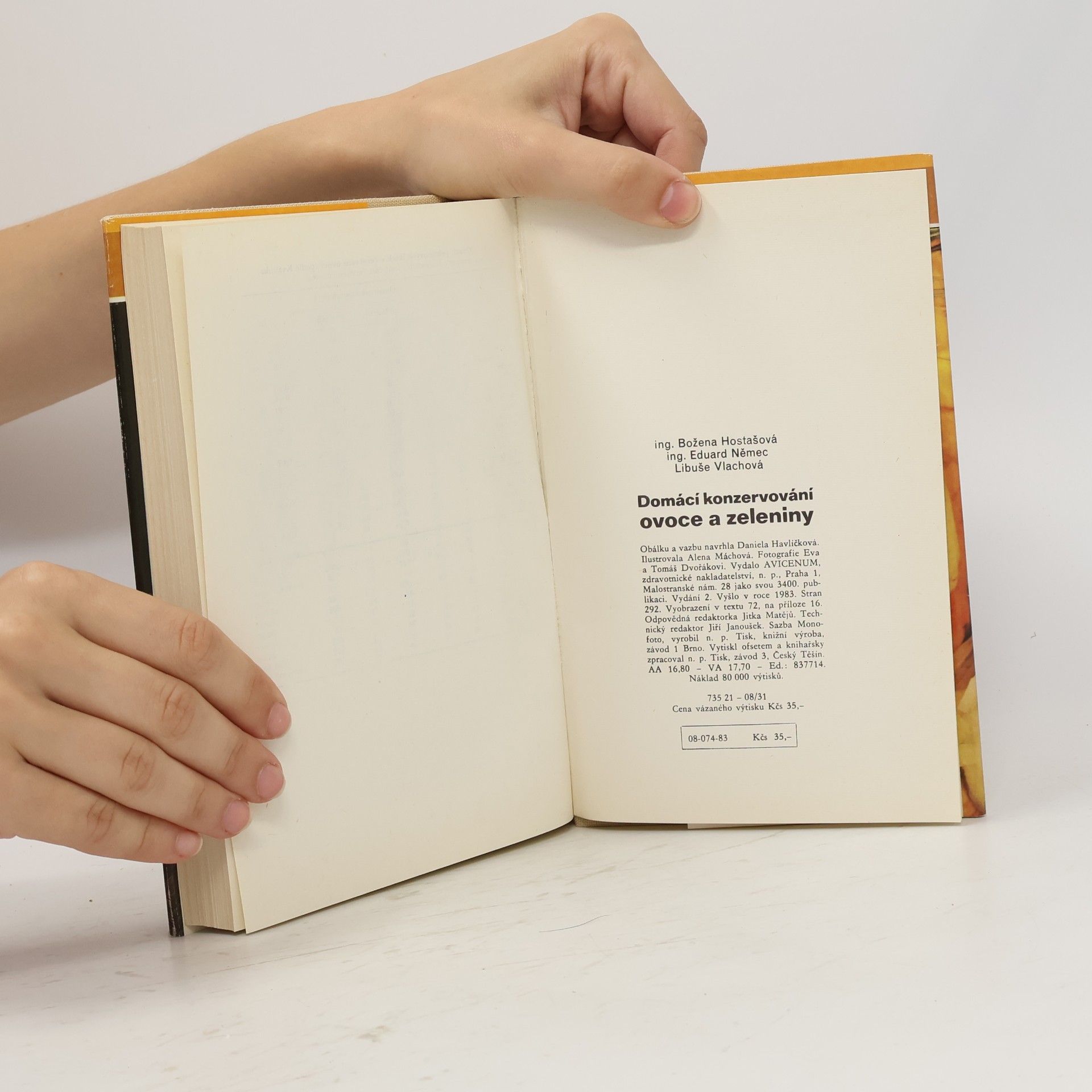 Autores varios Domácí konzervování ovoce a zeleniny